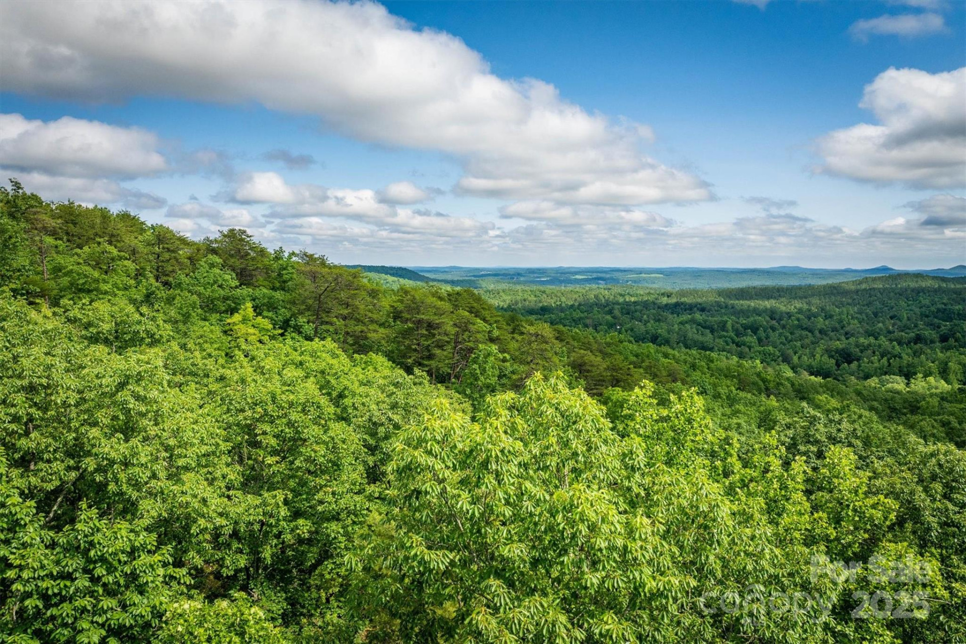 0 Methodist Park Road - Photo 6