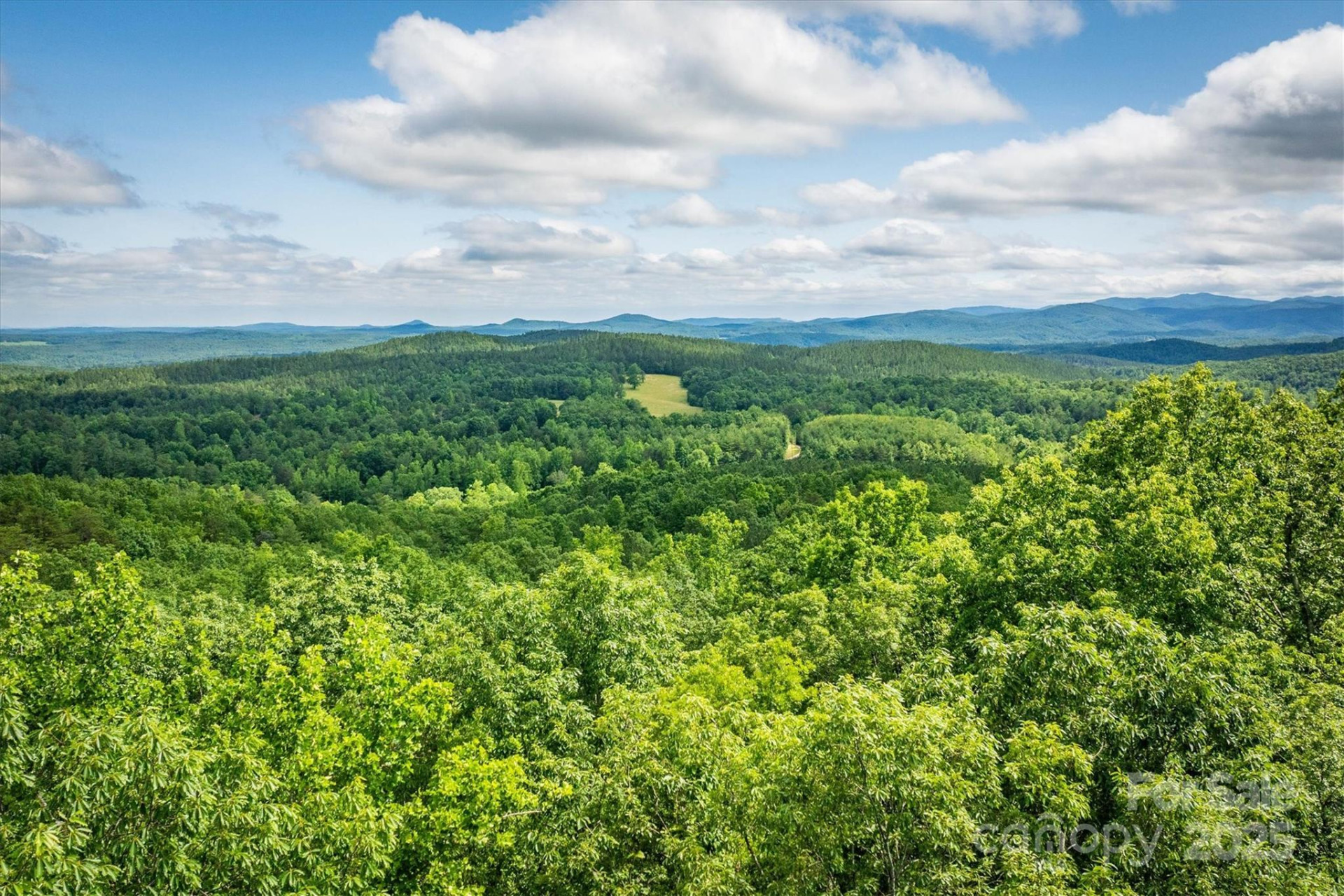 0 Methodist Park Road - Photo 8