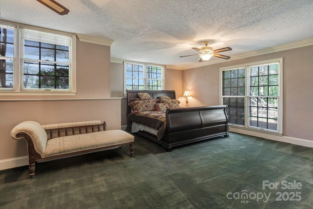 201 Hughes Creek - Photo 19