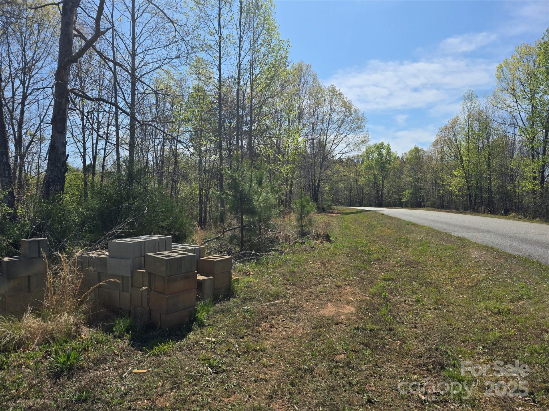 0 Hickory Loop #44 - Photo 12