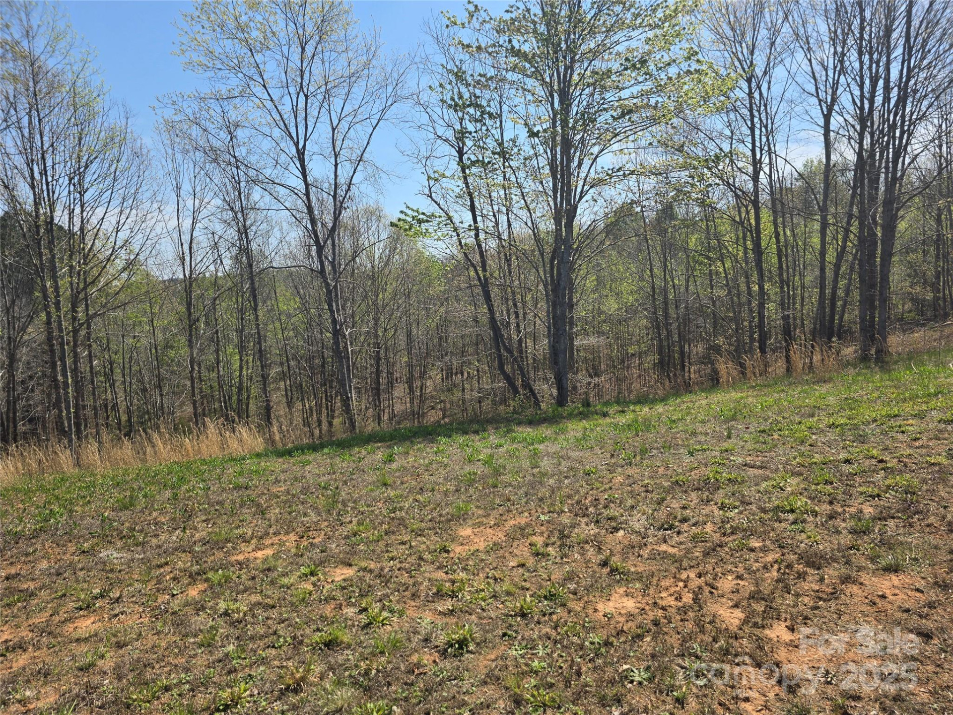 0 Hickory Loop #44 - Photo 16