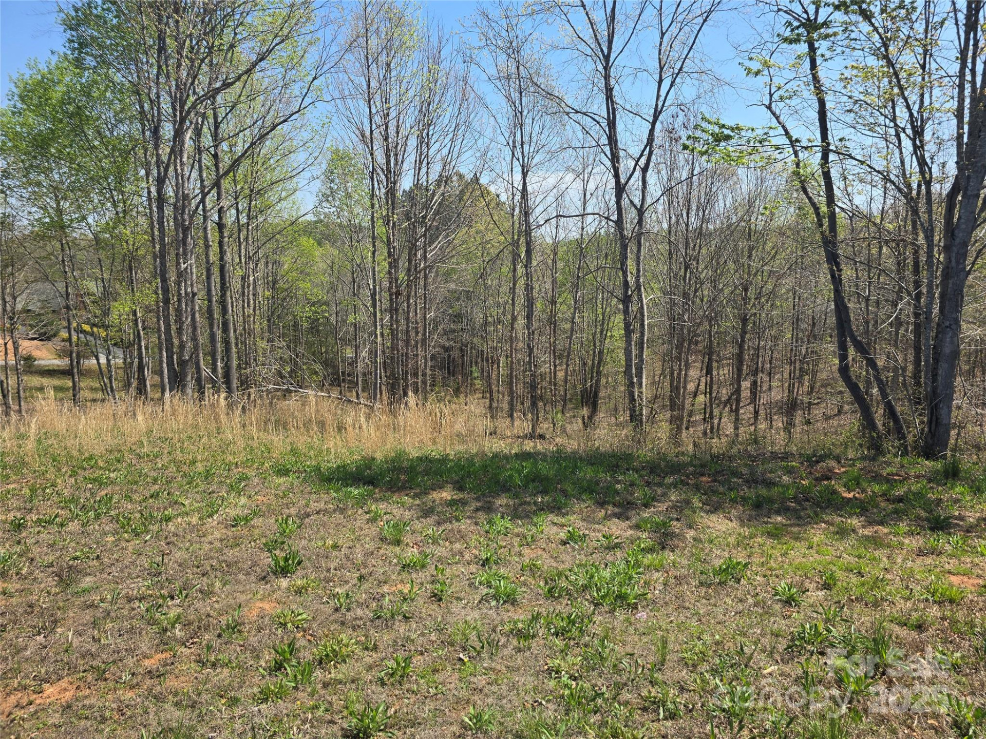 0 Hickory Loop #44 - Photo 20