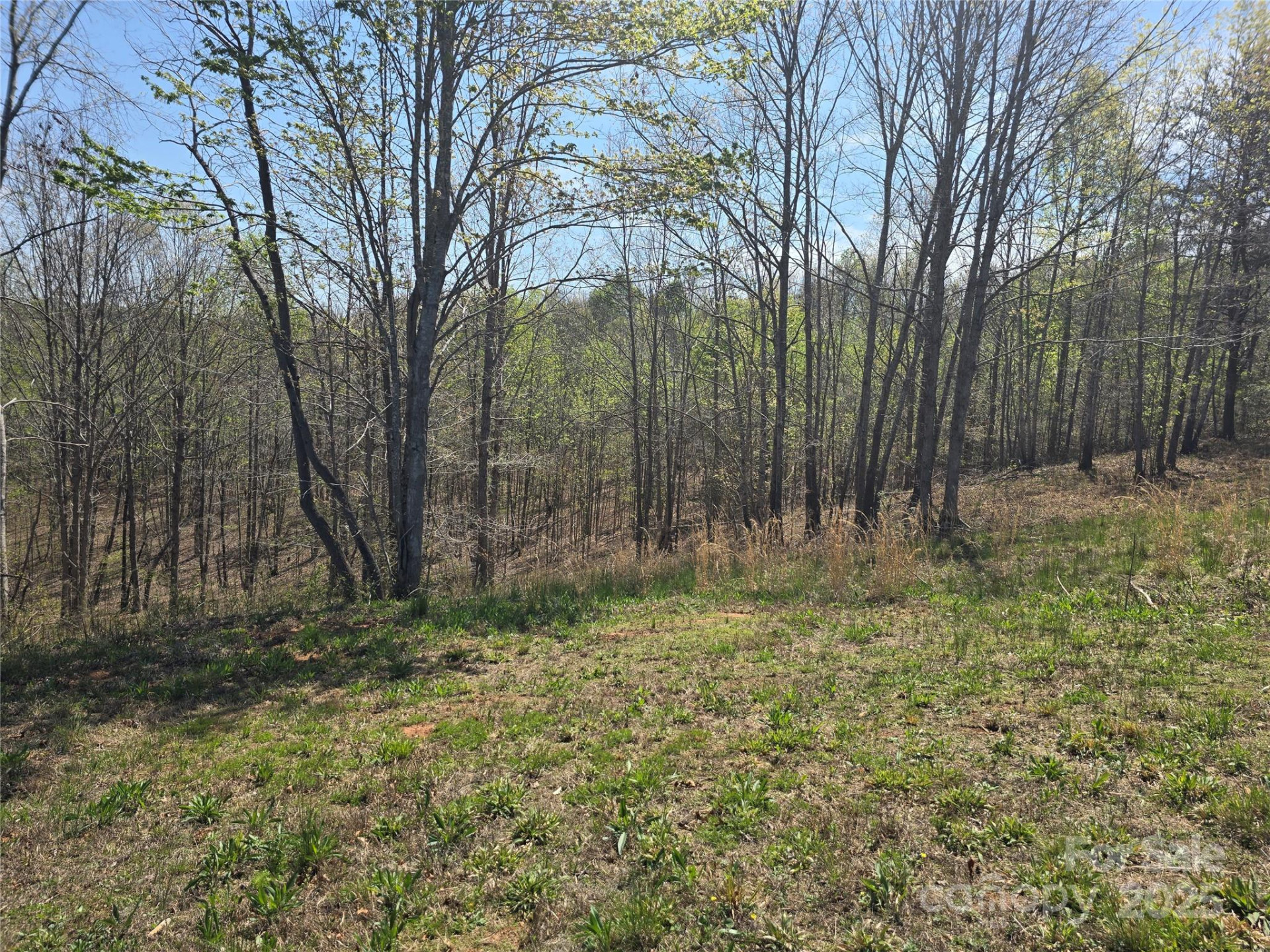 0 Hickory Loop #44 - Photo 21