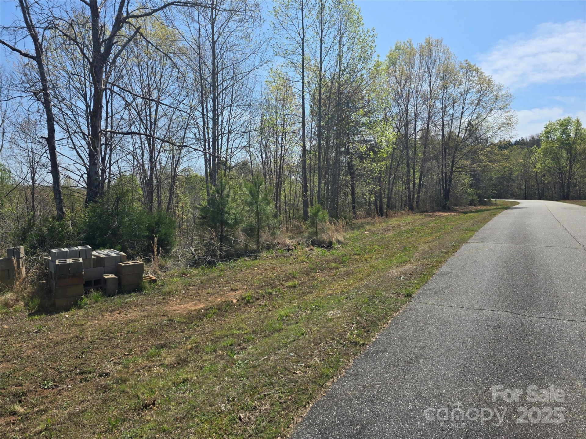 0 Hickory Loop #44 - Photo 22