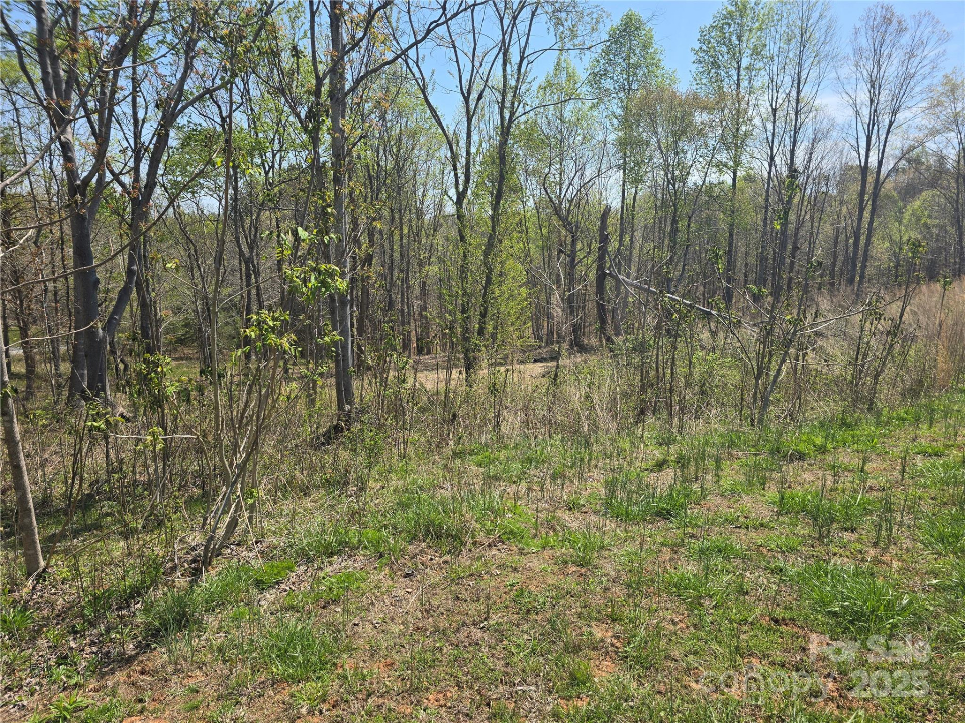 0 Hickory Loop #44 - Photo 23