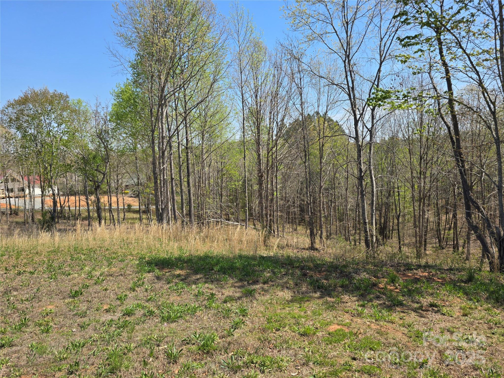 0 Hickory Loop #44 - Photo 5