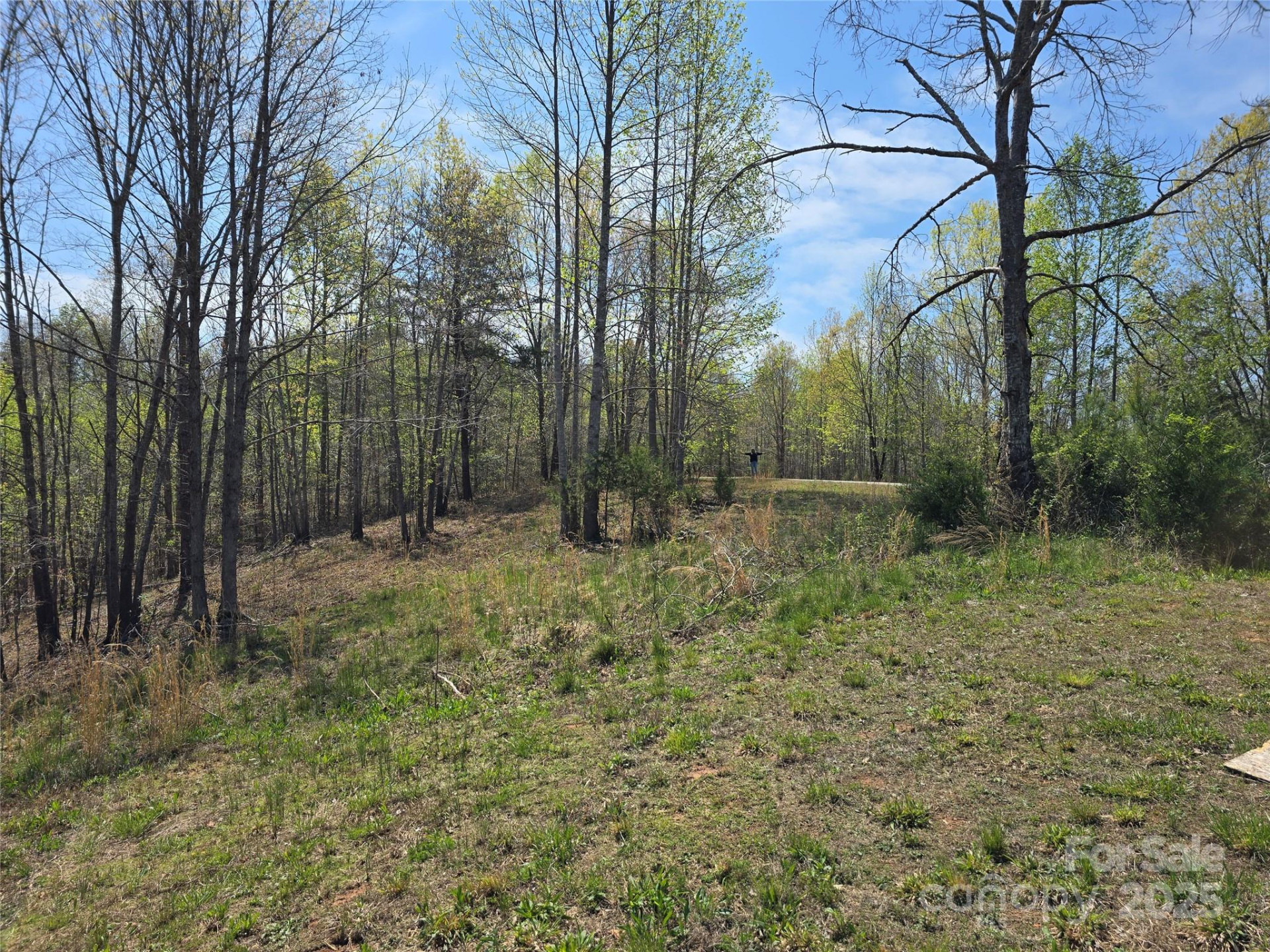 0 Hickory Loop #44 - Photo 9