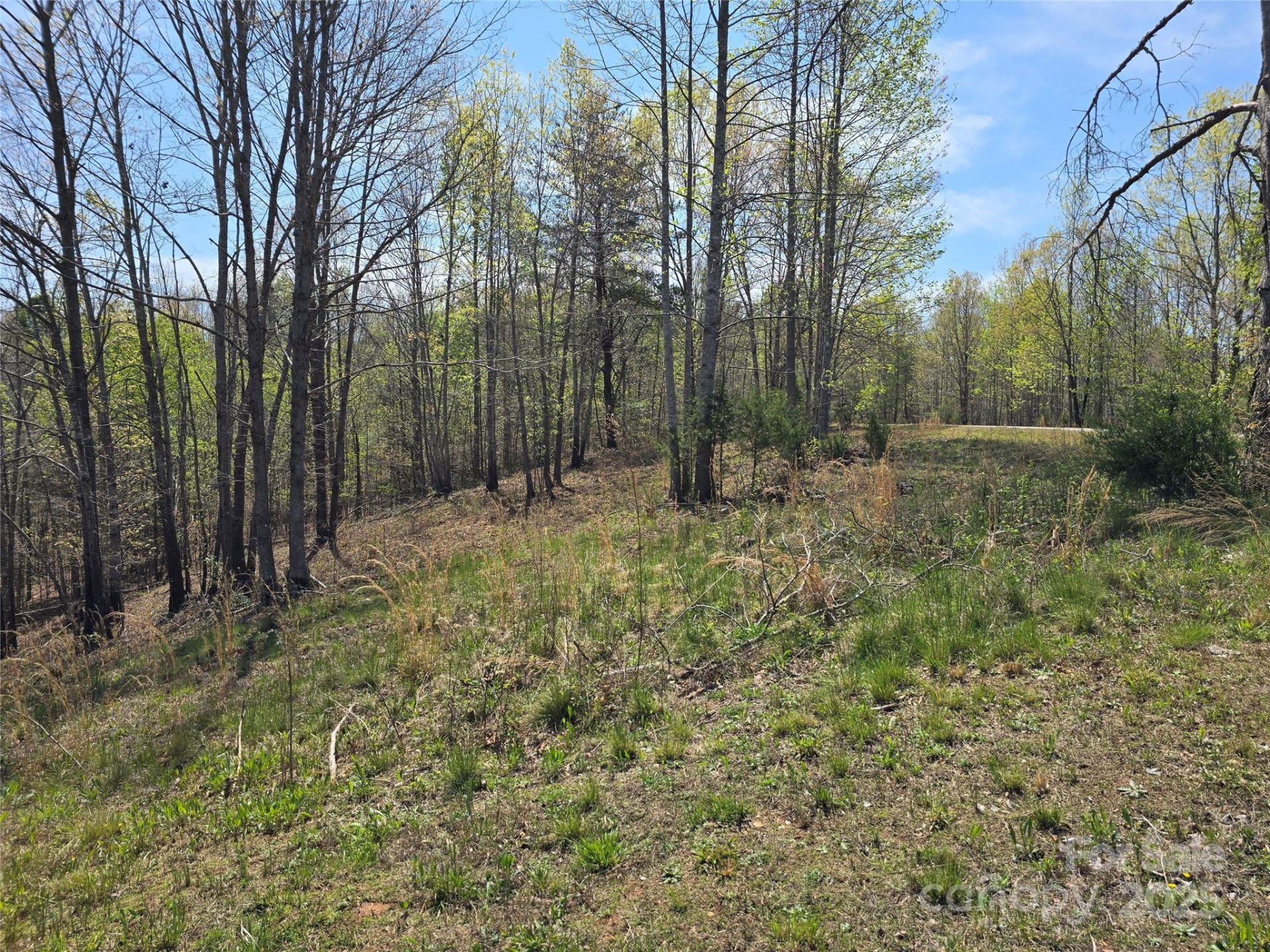 0 Hickory Loop #44 - Photo 10