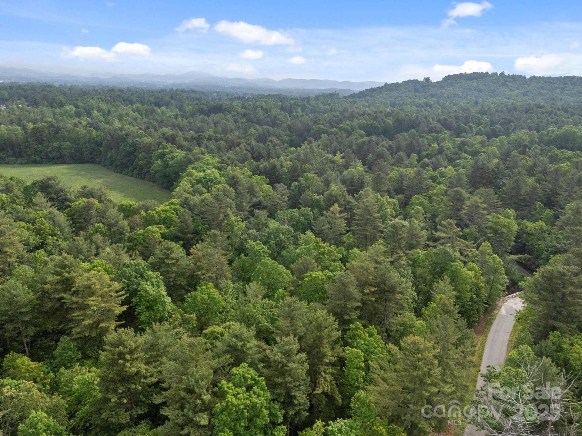 000 Red Fox Lane #18 - Photo 11