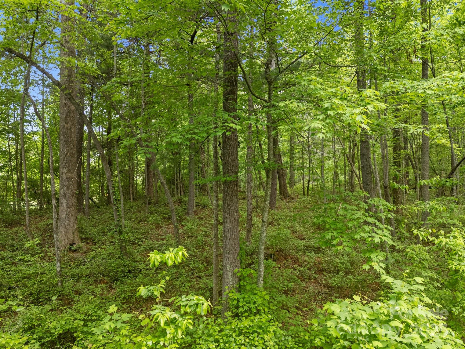 000 Red Fox Lane #18 - Photo 23