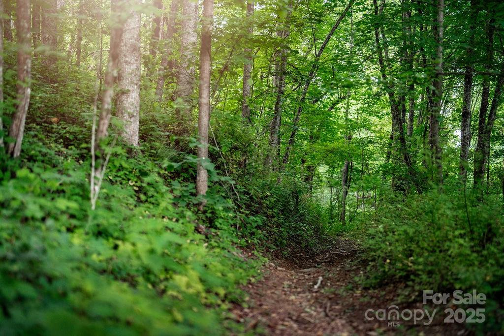 0000 West Garden Trail #Lot 66 - Photo 7