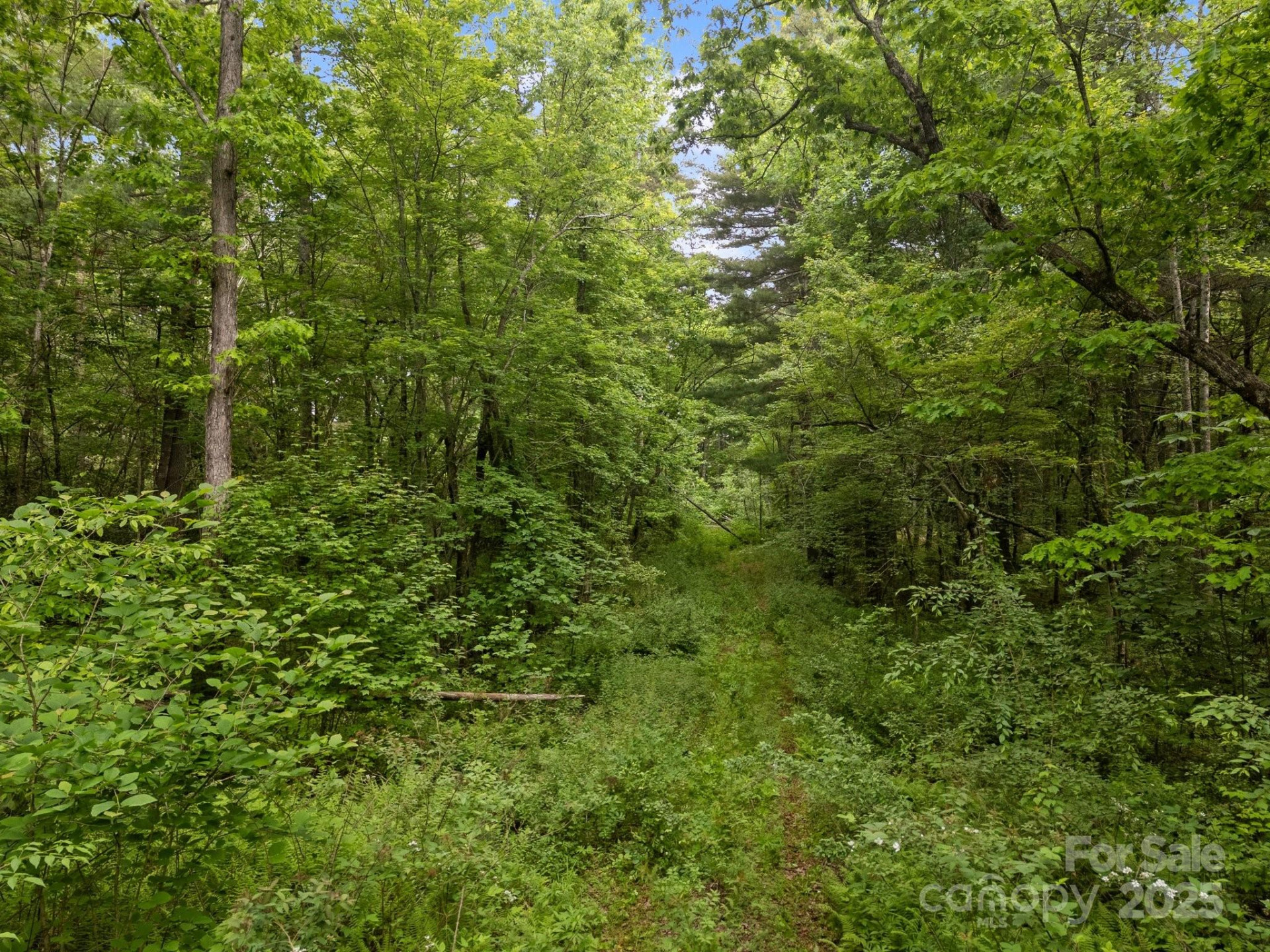 000 Red Fox Lane #19 - Photo 13