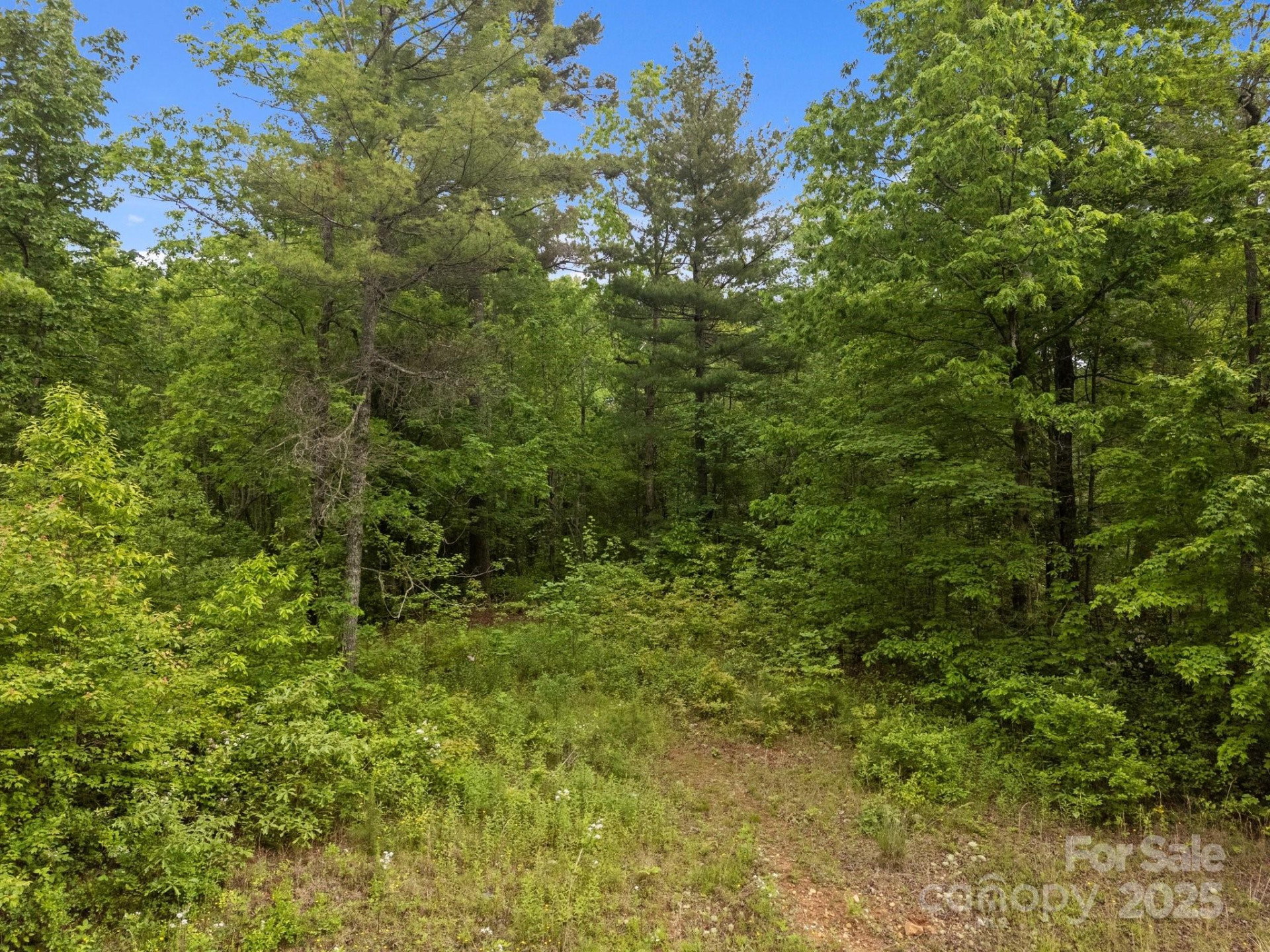 000 Red Fox Lane #19 - Photo 14