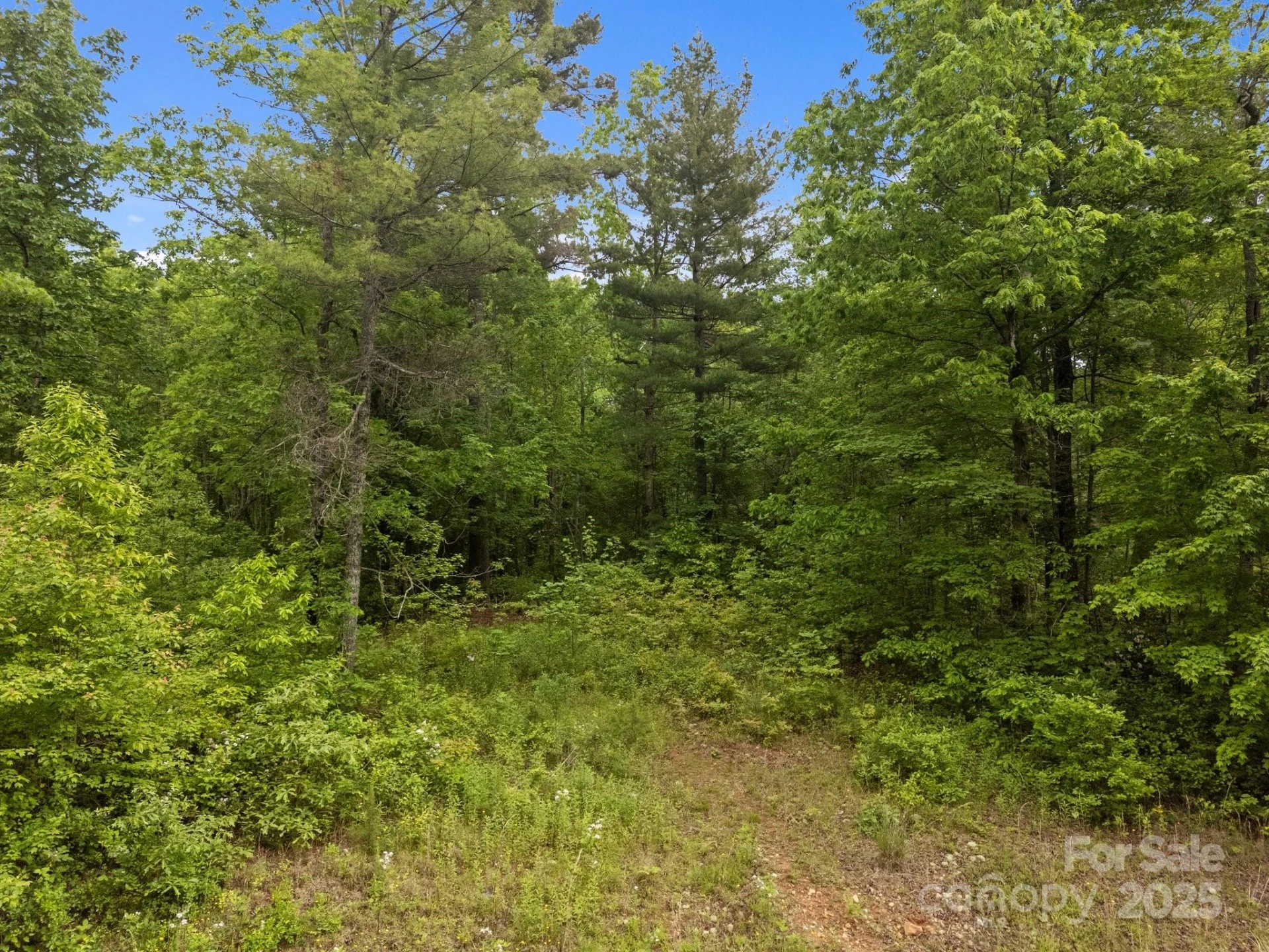 000 Red Fox Lane #19 - Photo 14