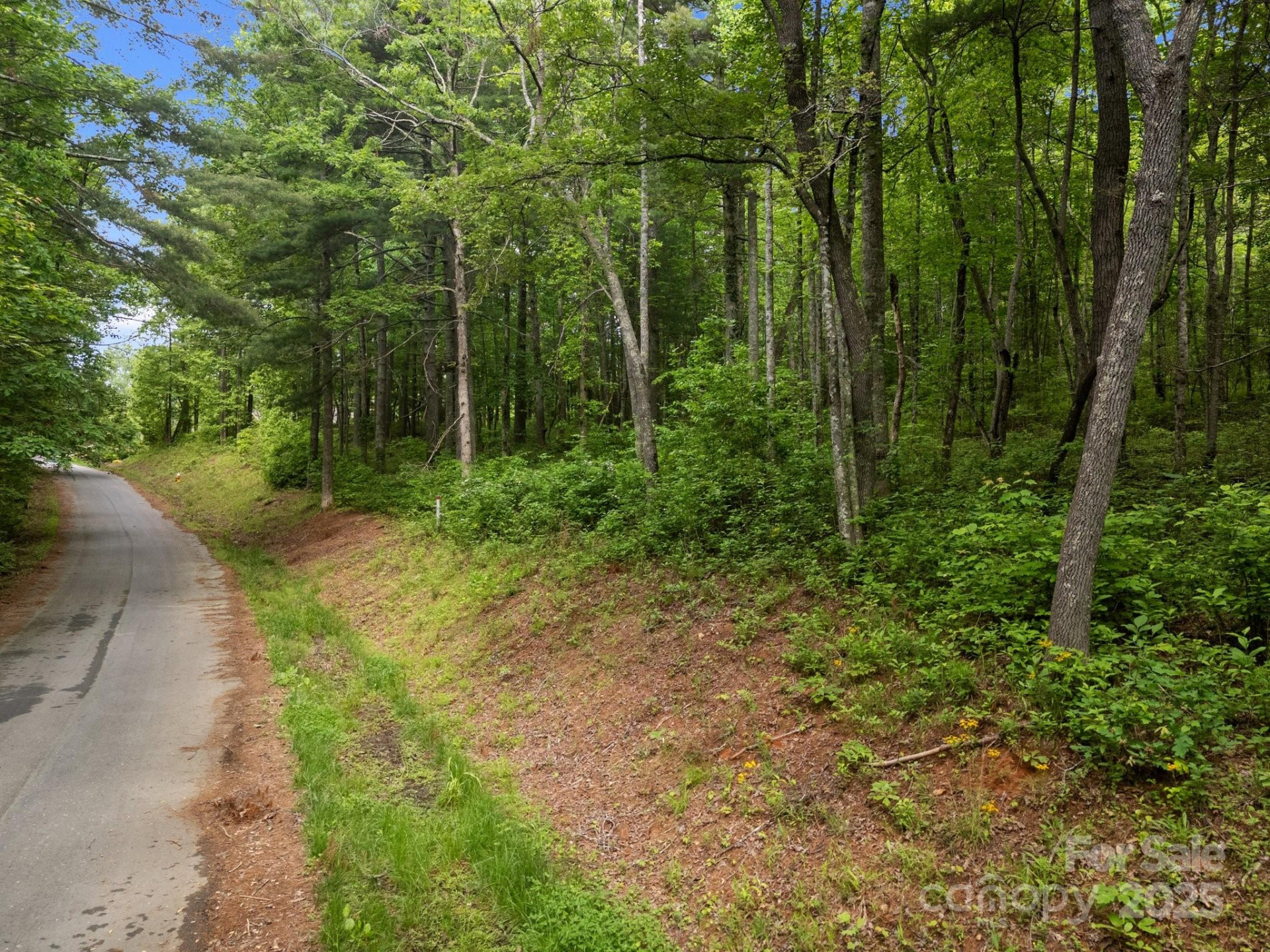 000 Red Fox Lane #19 - Photo 15
