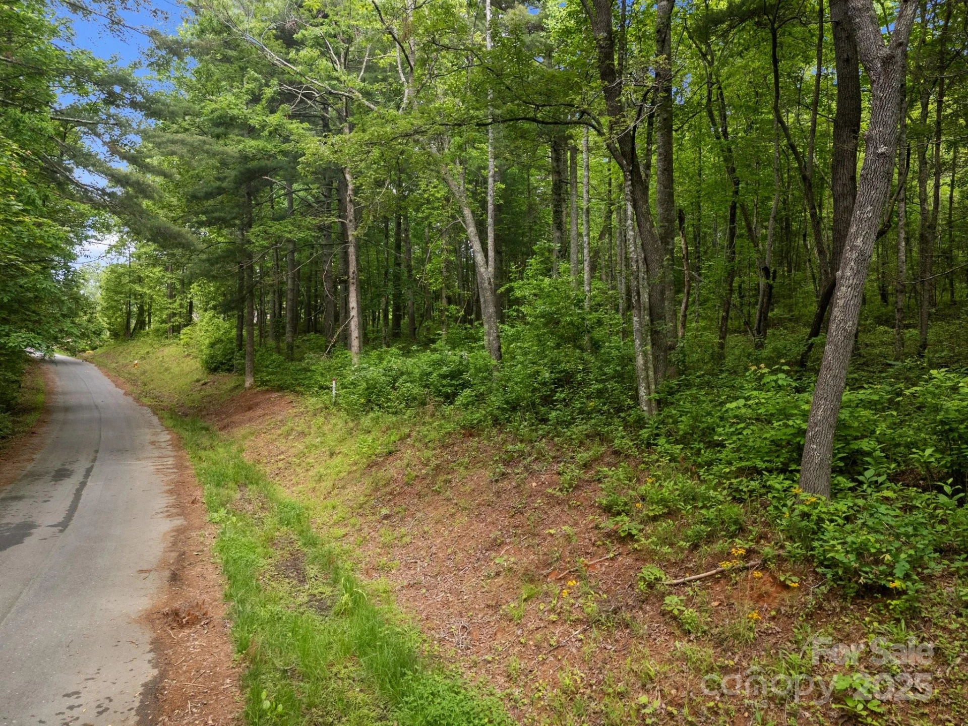 000 Red Fox Lane #19 - Photo 15