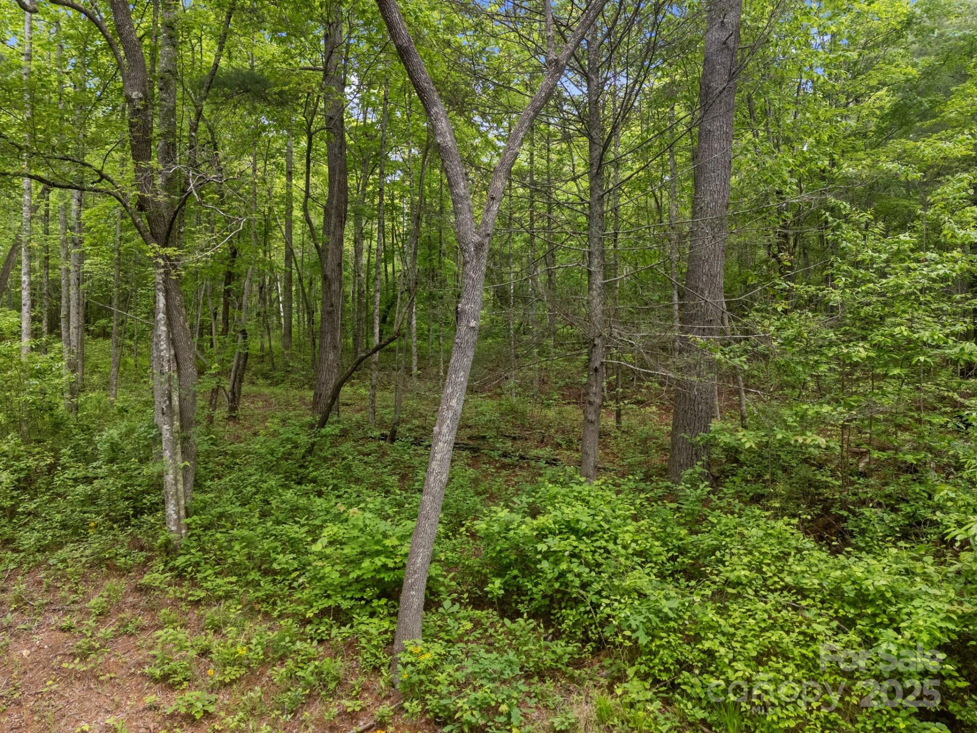 000 Red Fox Lane #19 - Photo 16