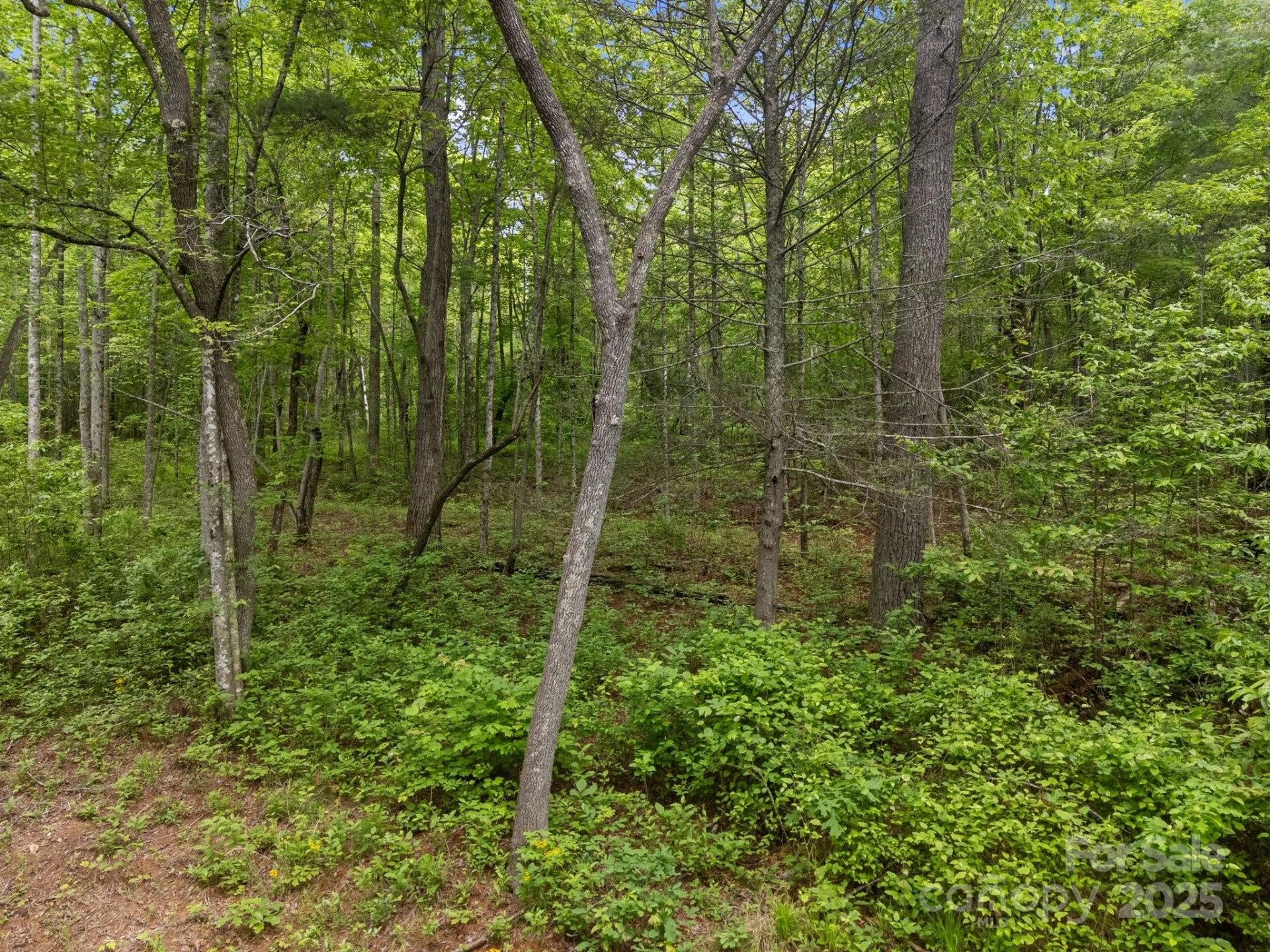 000 Red Fox Lane #19 - Photo 16