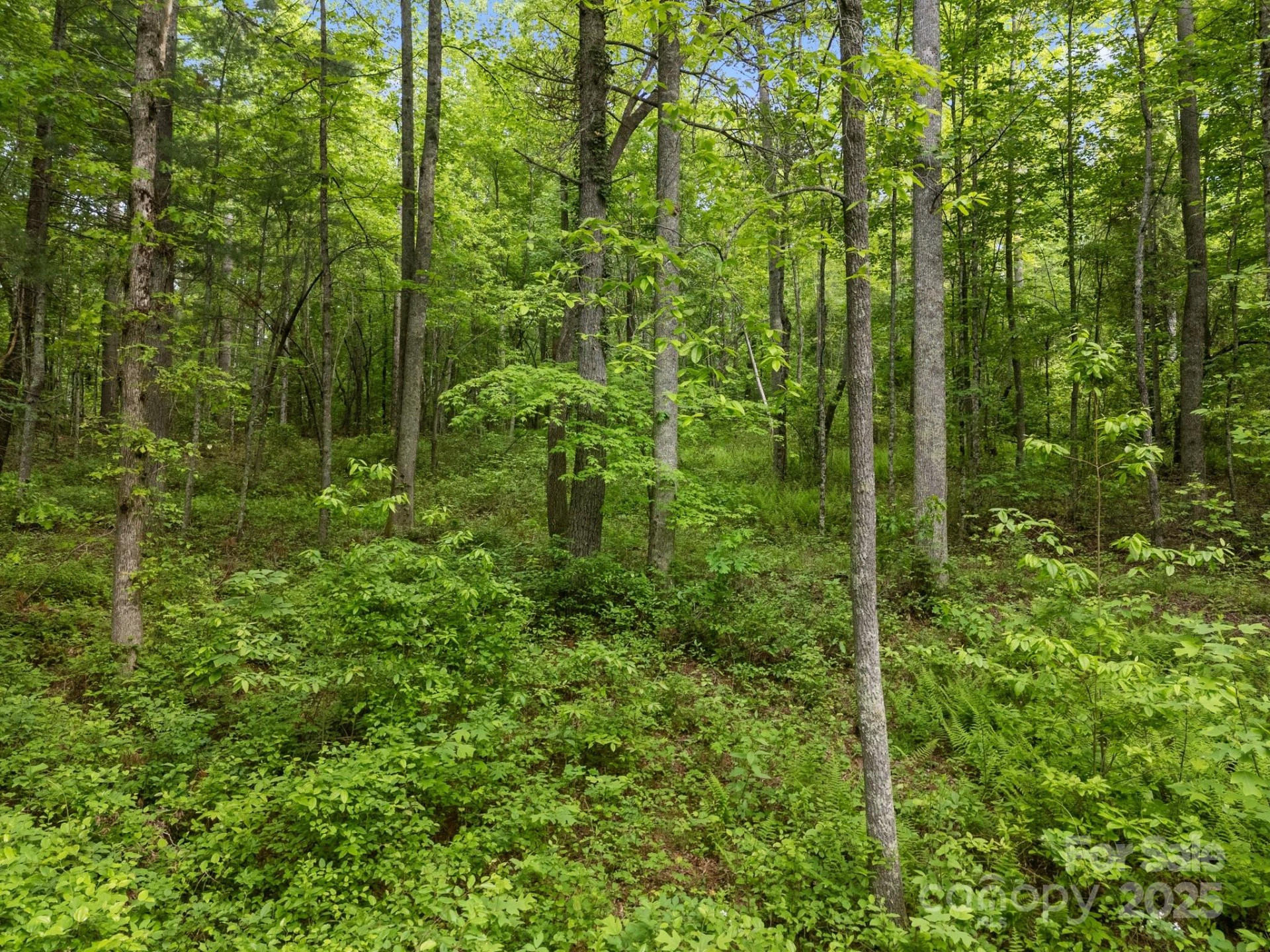 000 Red Fox Lane #19 - Photo 17