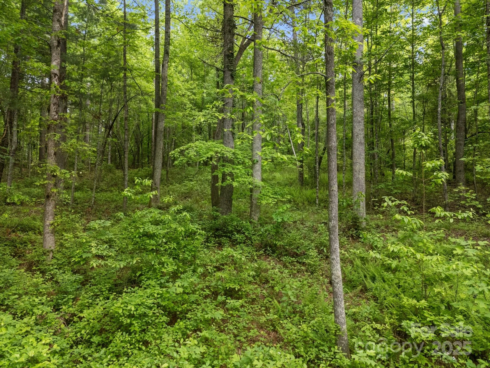 000 Red Fox Lane #19 - Photo 17