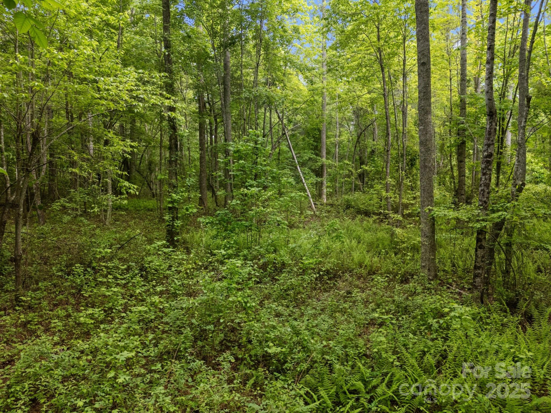 000 Red Fox Lane #19 - Photo 18