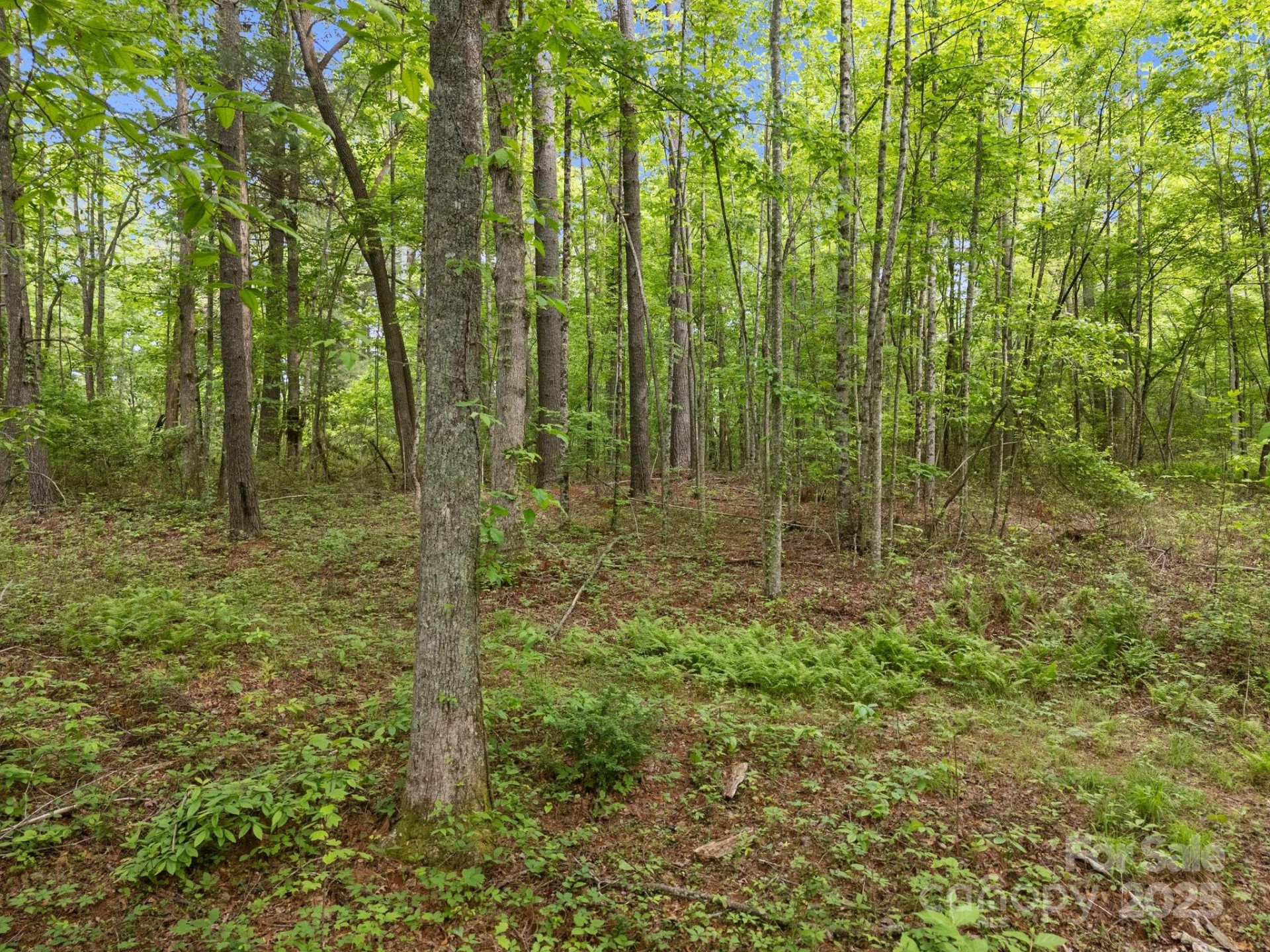 000 Red Fox Lane #19 - Photo 19