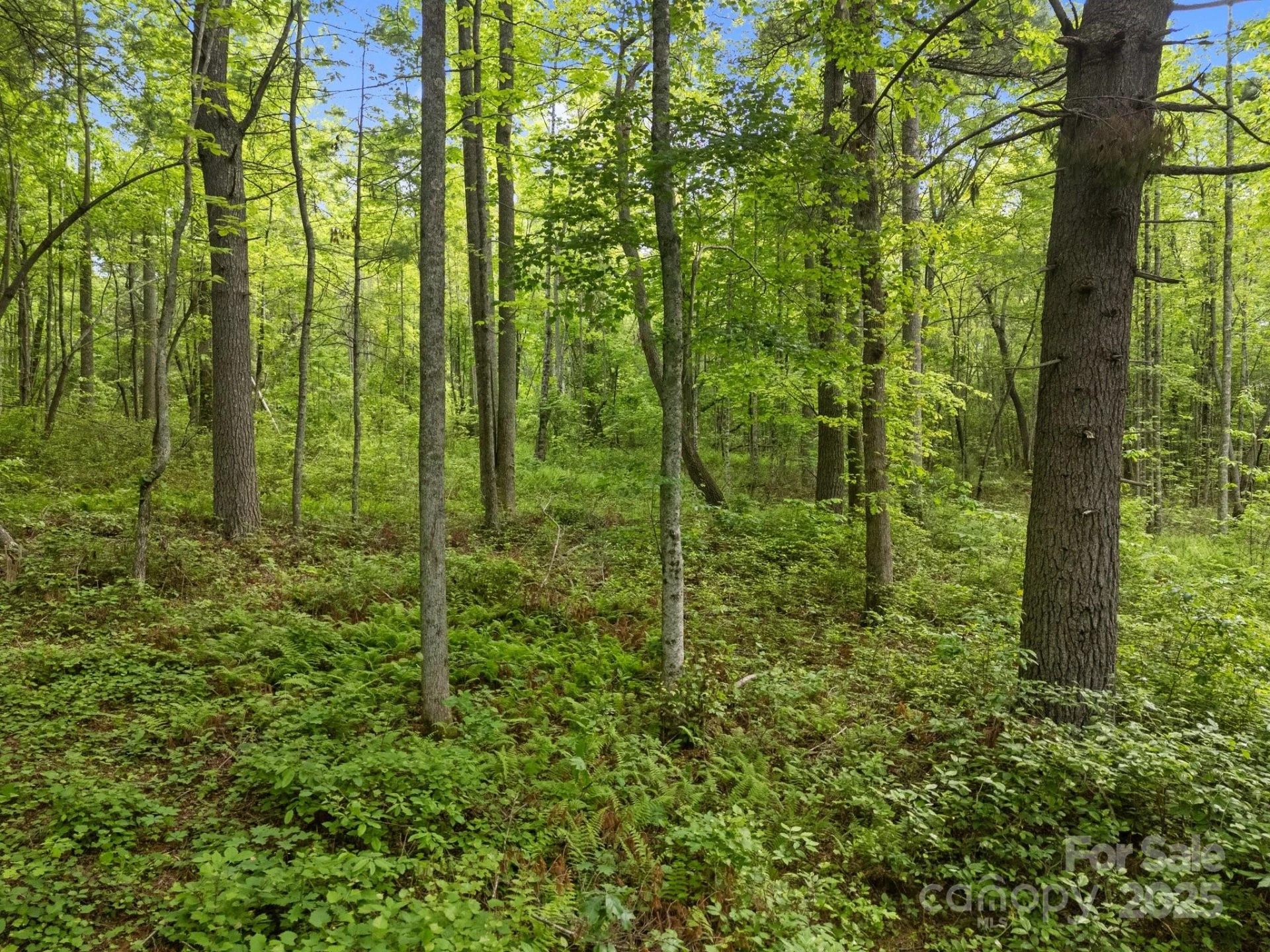 000 Red Fox Lane #19 - Photo 20