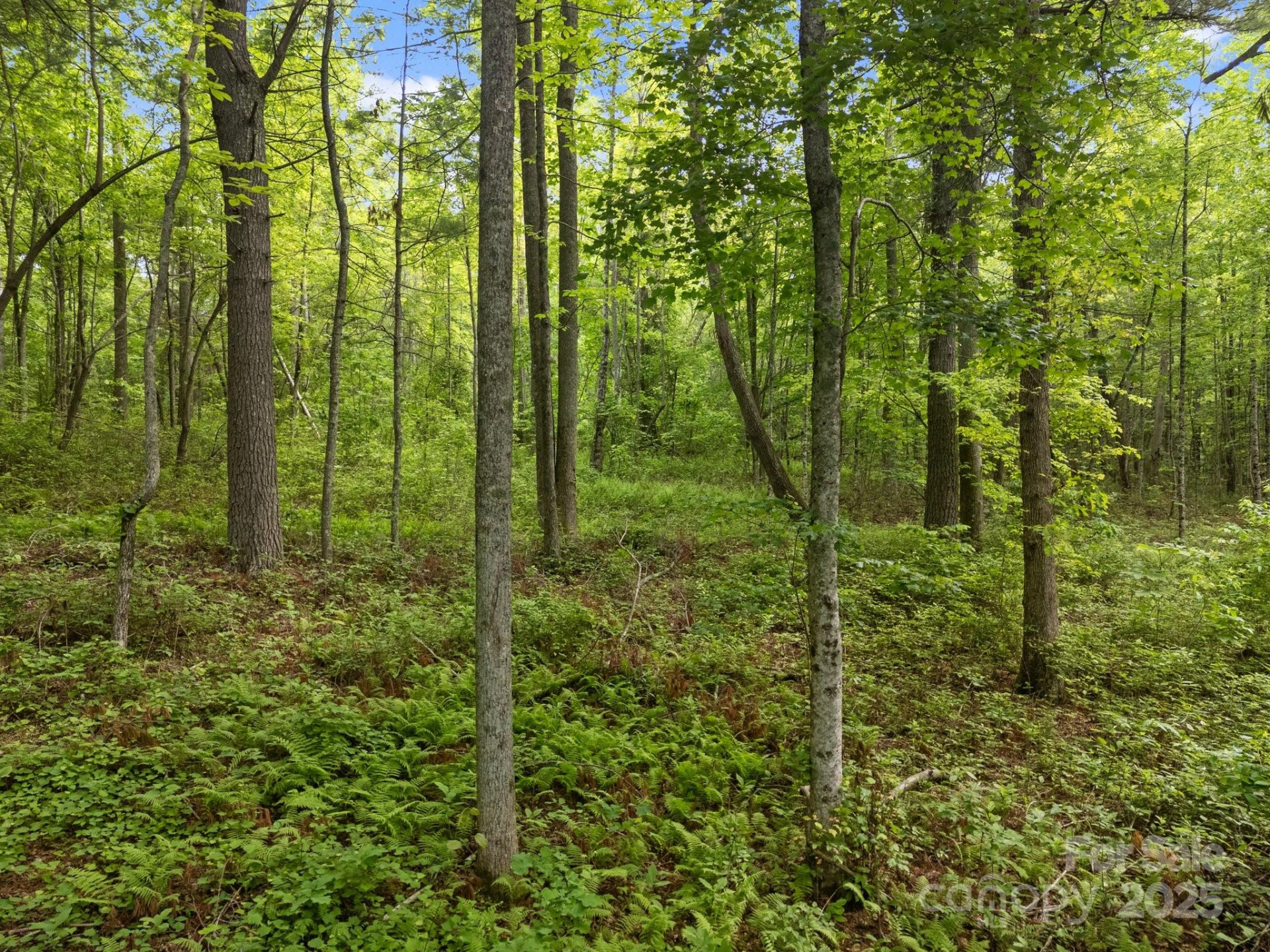 000 Red Fox Lane #19 - Photo 21