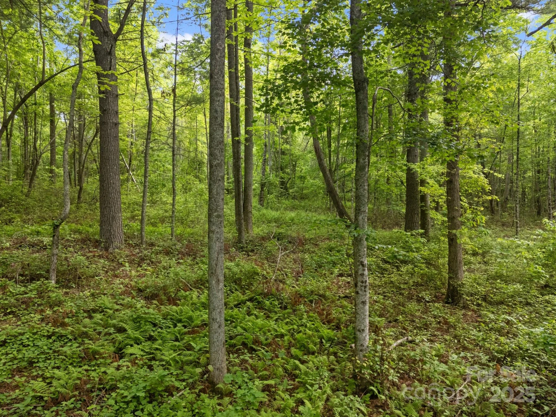 000 Red Fox Lane #19 - Photo 21