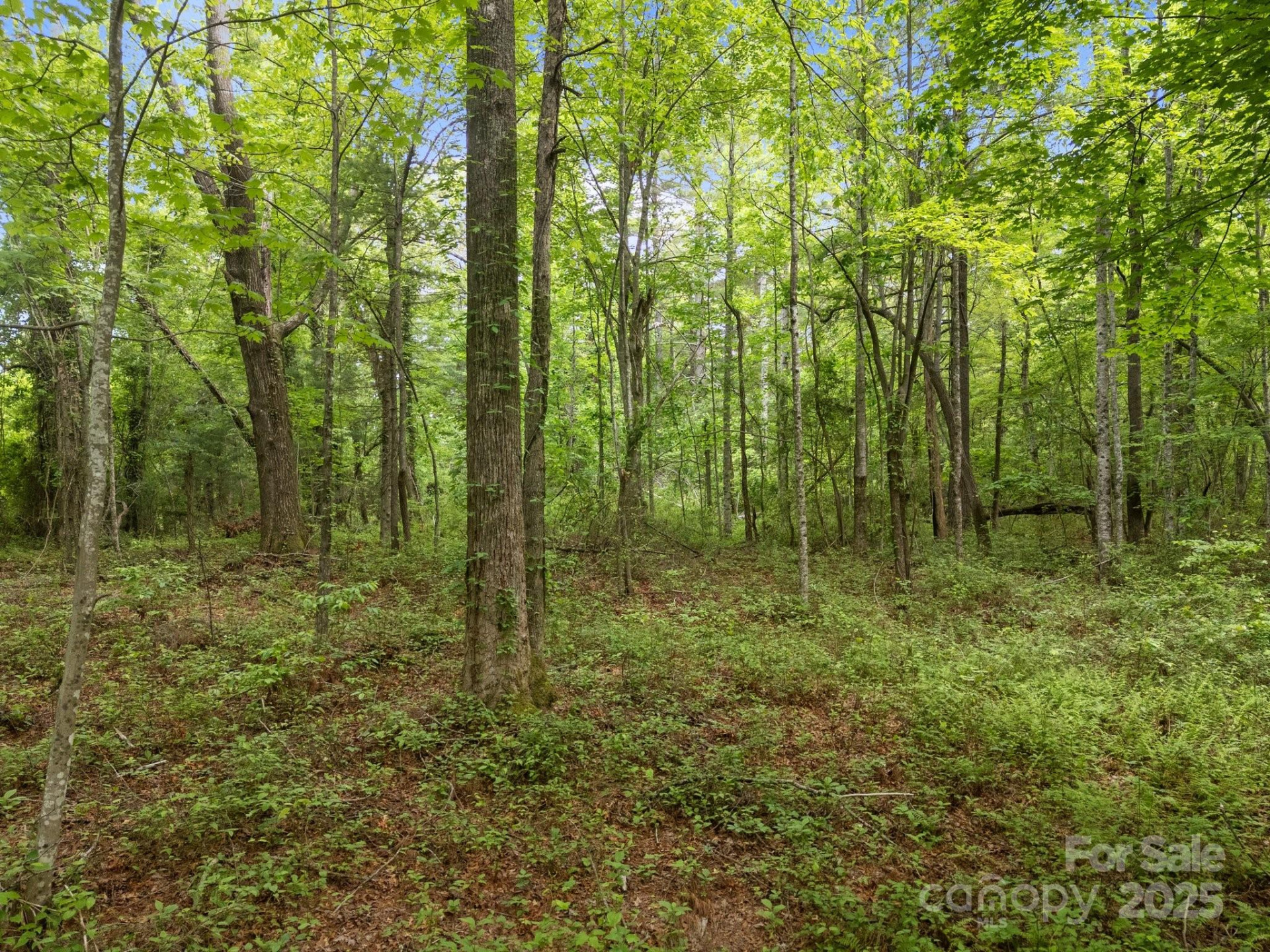 000 Red Fox Lane #19 - Photo 23