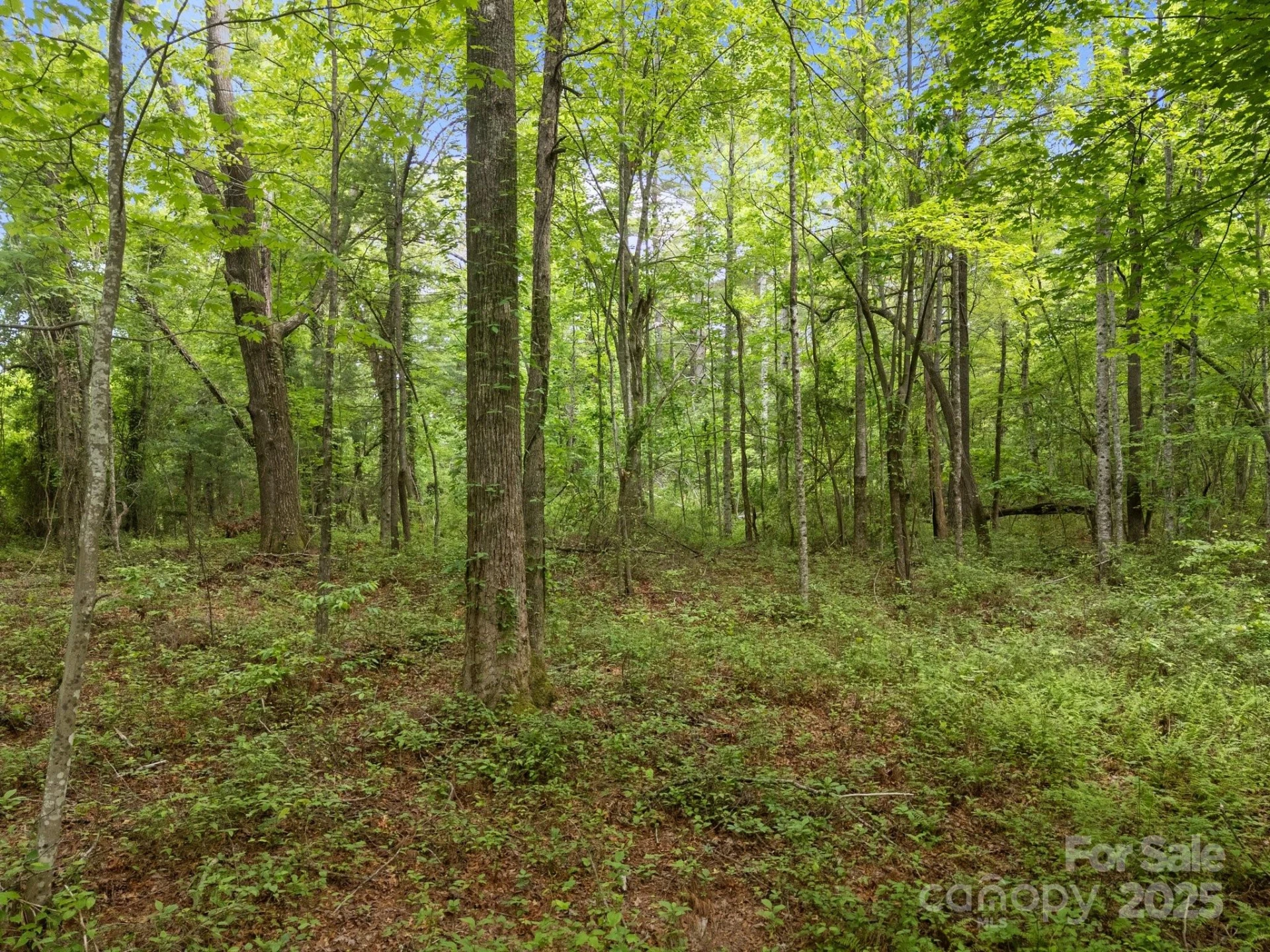 000 Red Fox Lane #19 - Photo 23