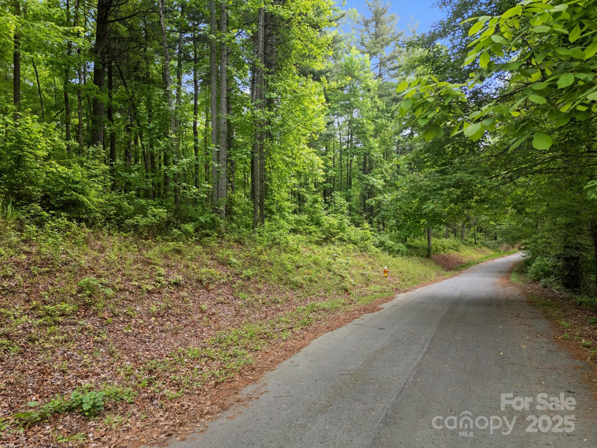 000 Red Fox Lane #19 - Photo 24