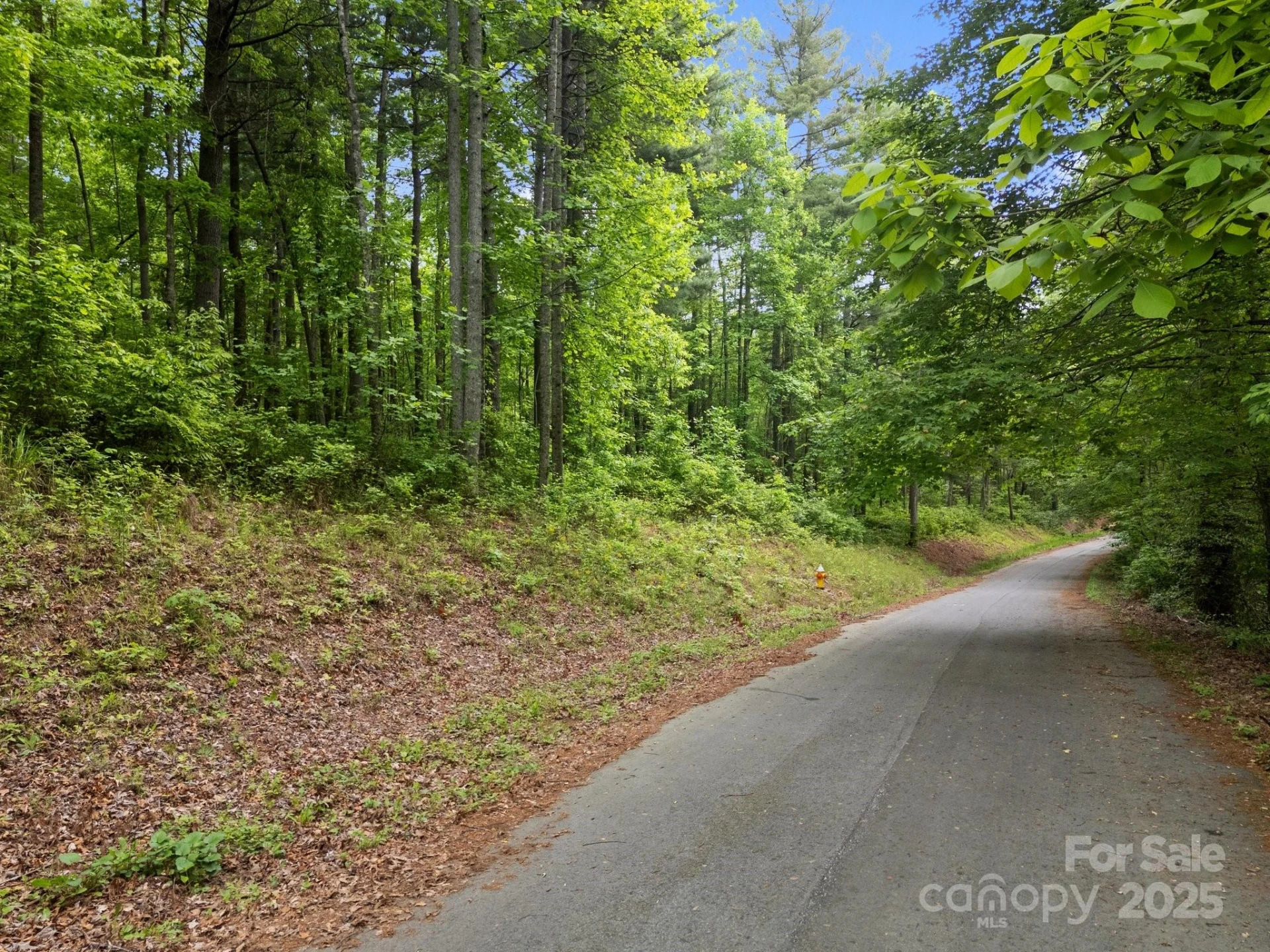 000 Red Fox Lane #19 - Photo 24