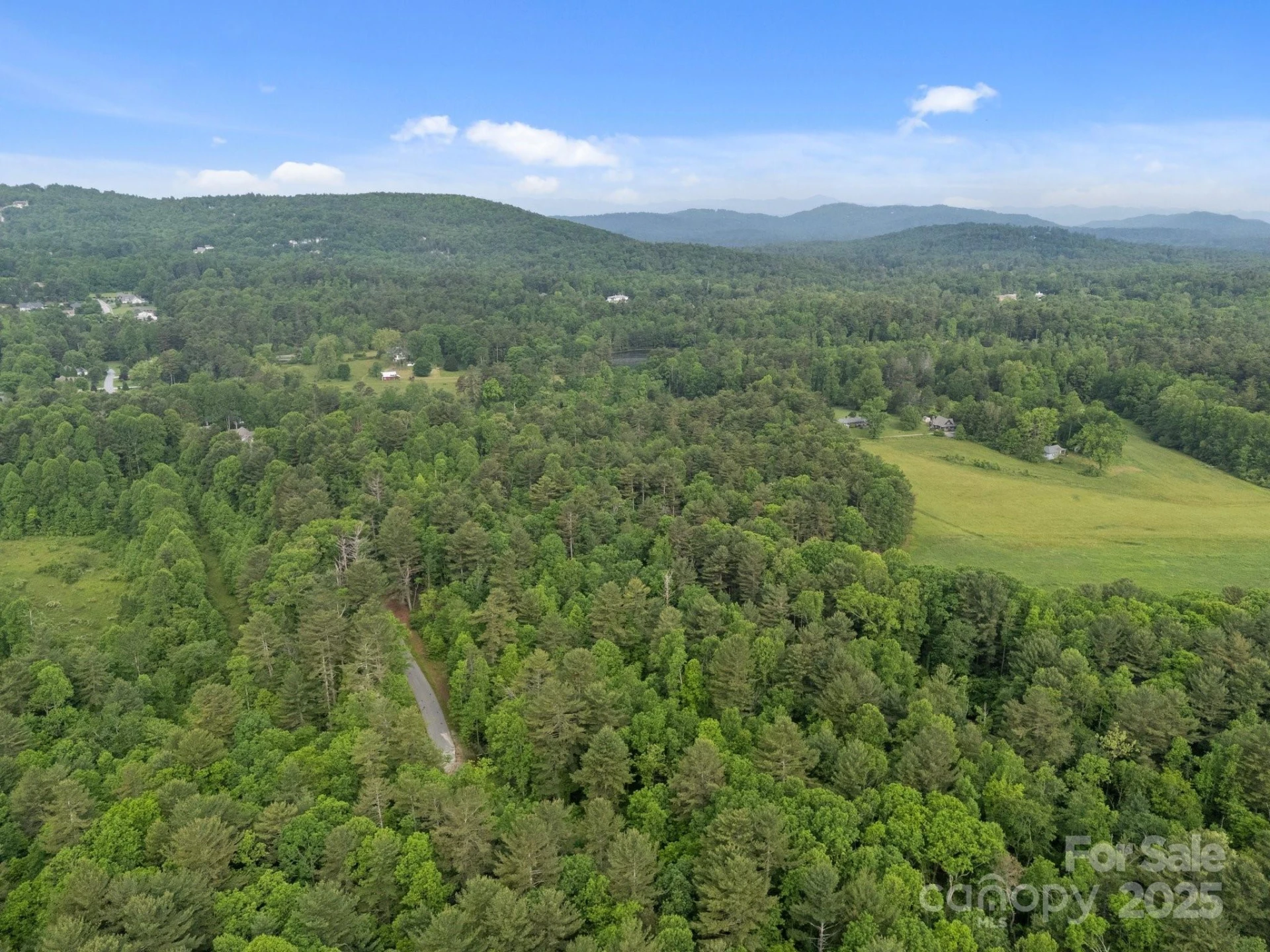 000 Red Fox Lane #19 - Photo 5