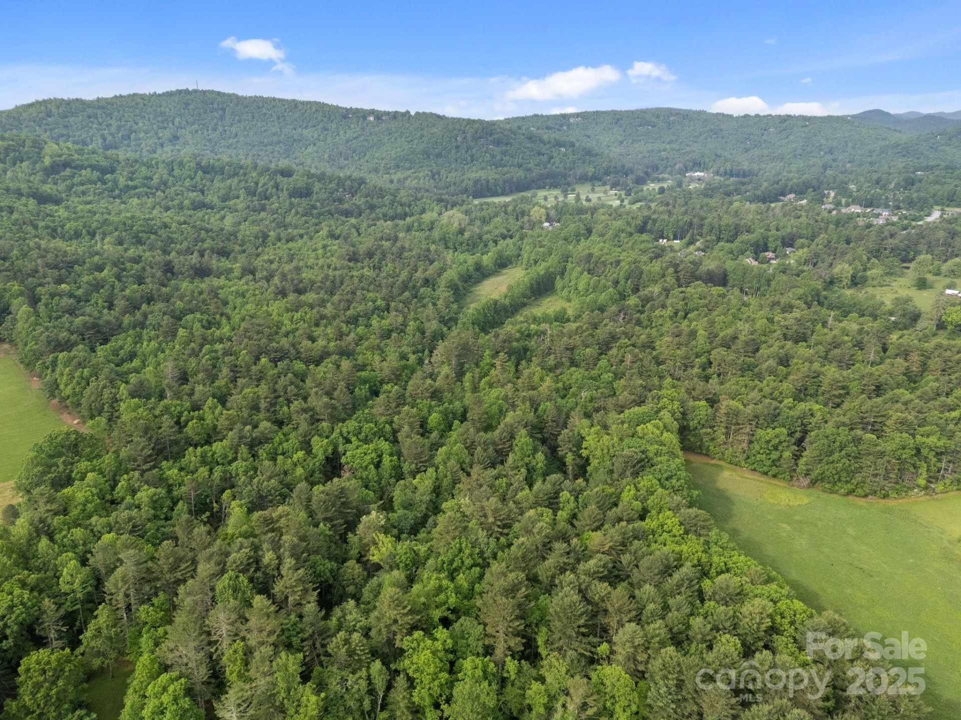 000 Red Fox Lane #19 - Photo 6