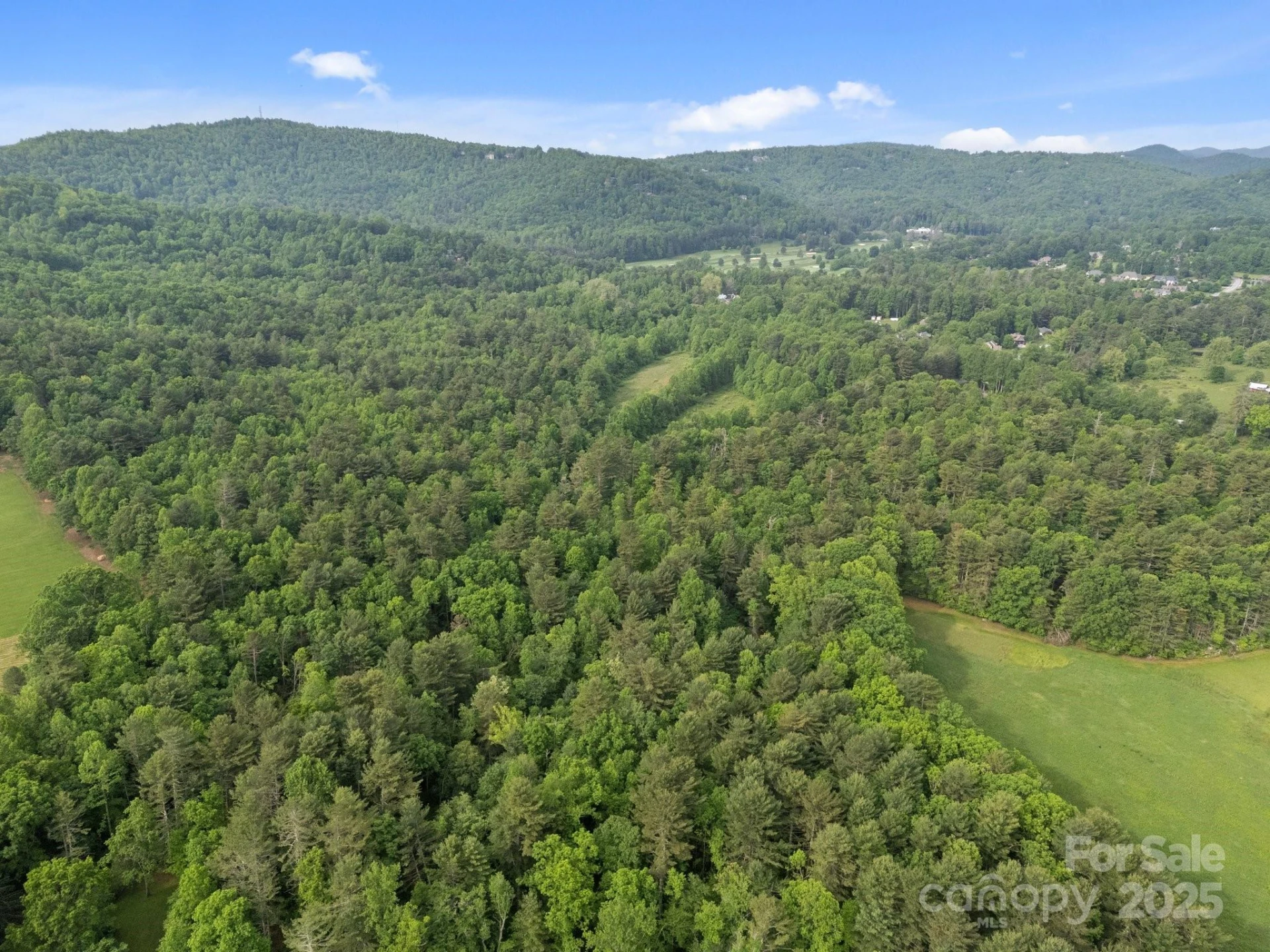 000 Red Fox Lane #19 - Photo 6