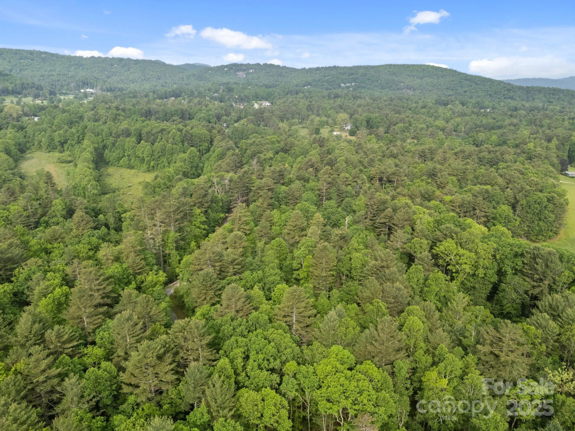 000 Red Fox Lane #19 - Photo 7