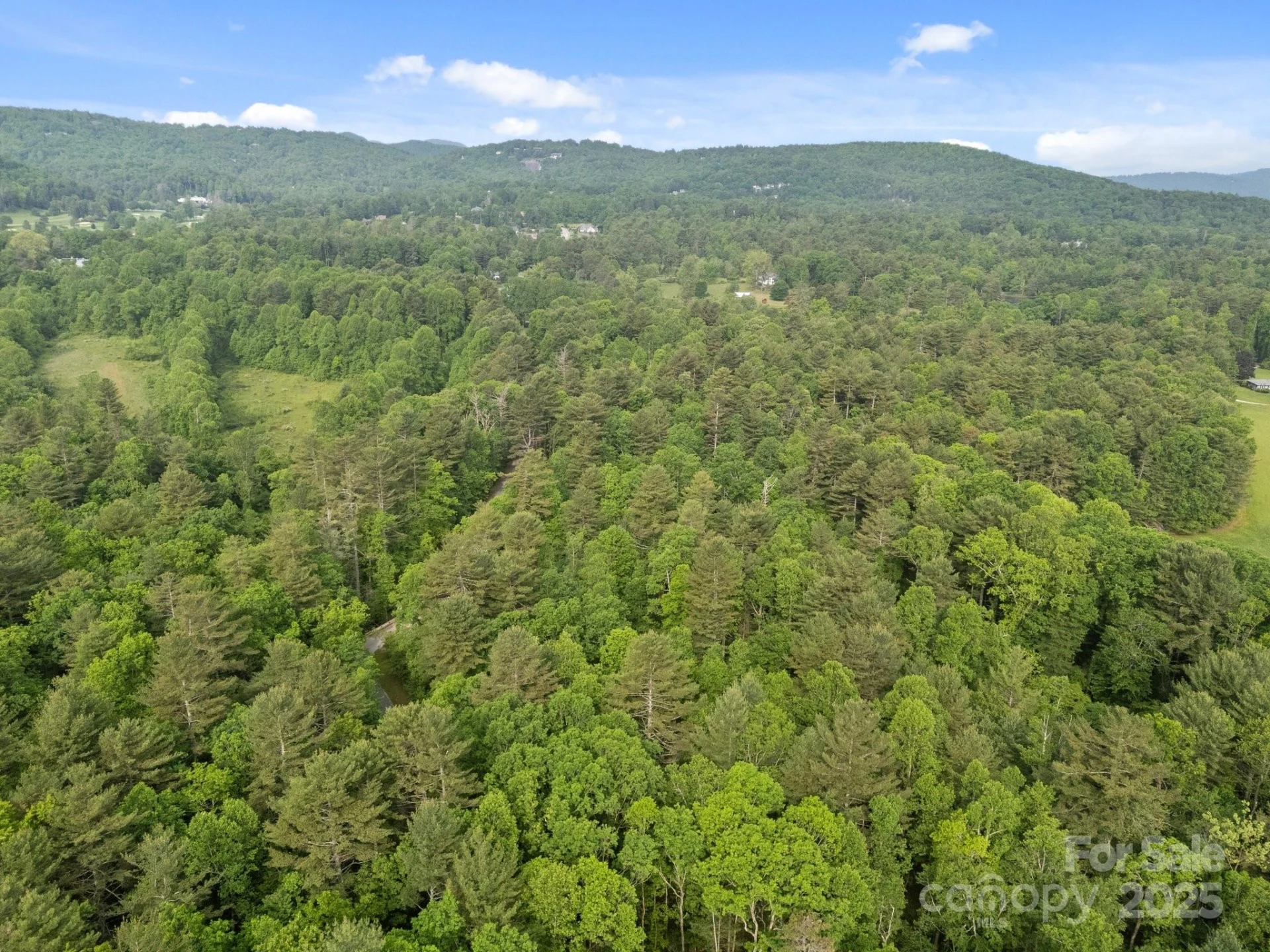 000 Red Fox Lane #19 - Photo 7