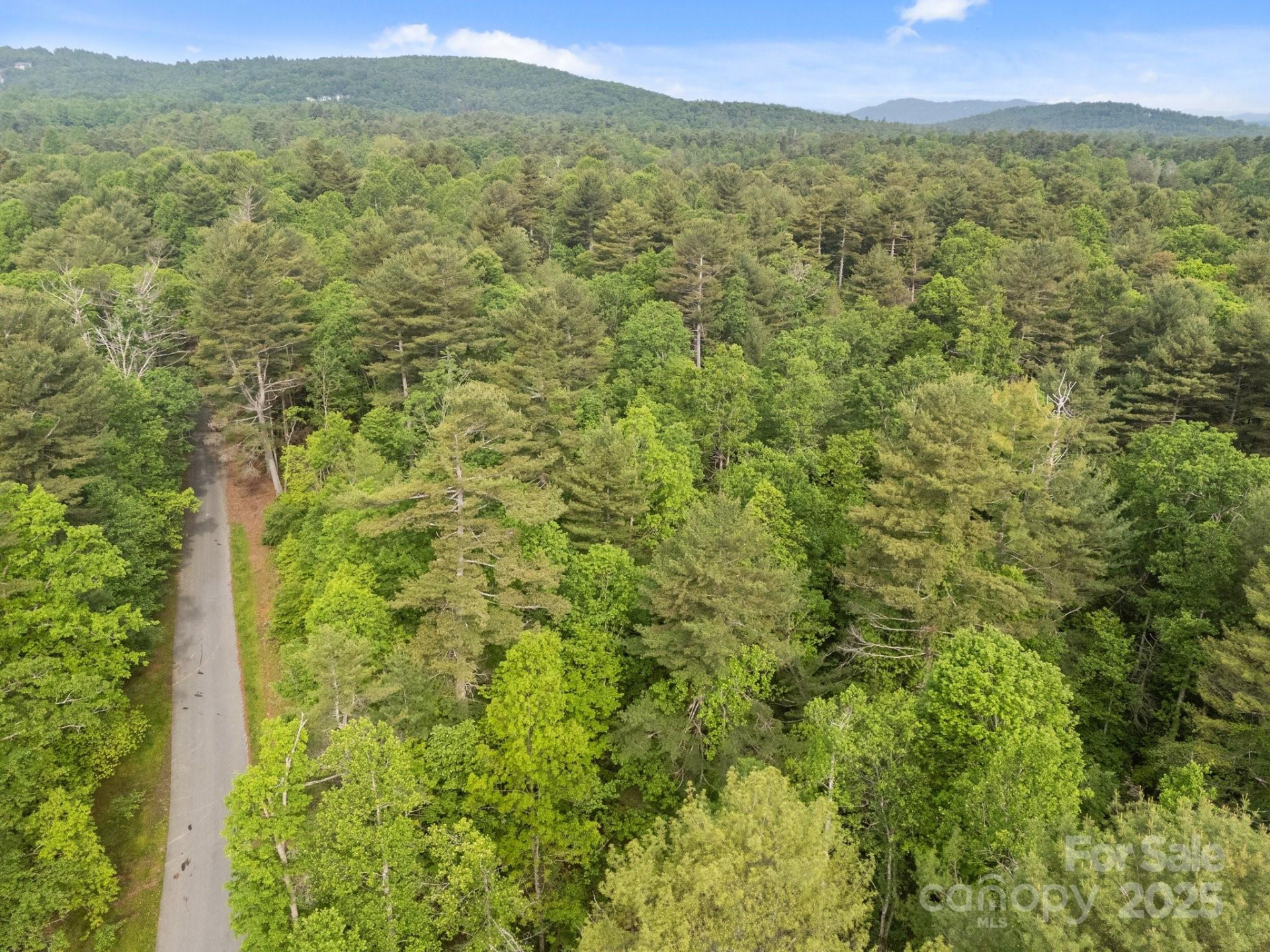 000 Red Fox Lane #19 - Photo 8