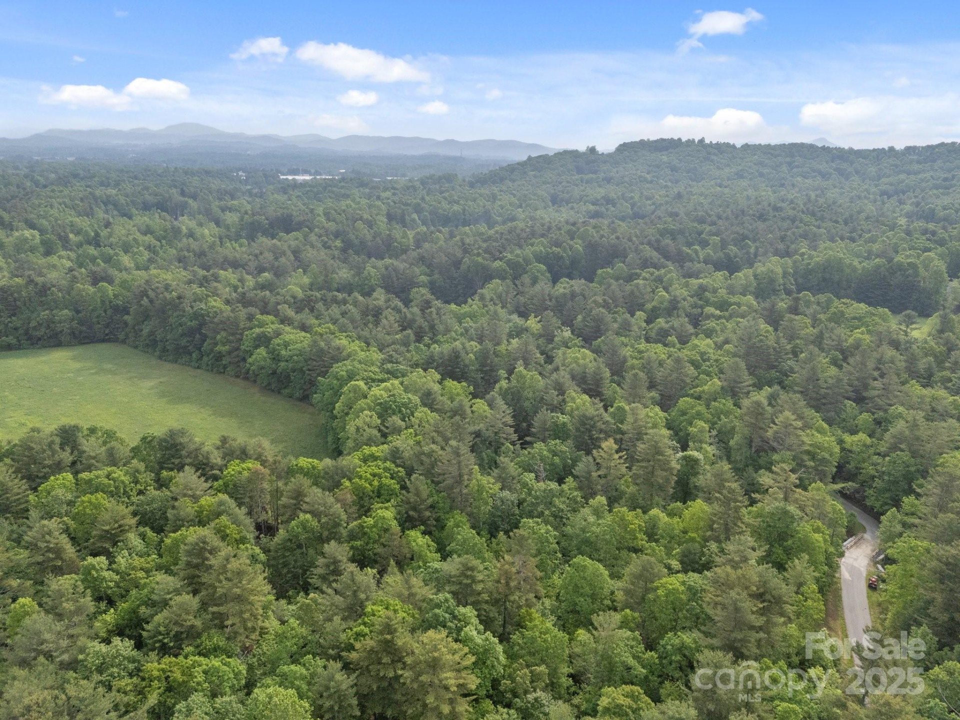 000 Red Fox Lane #19 - Photo 9