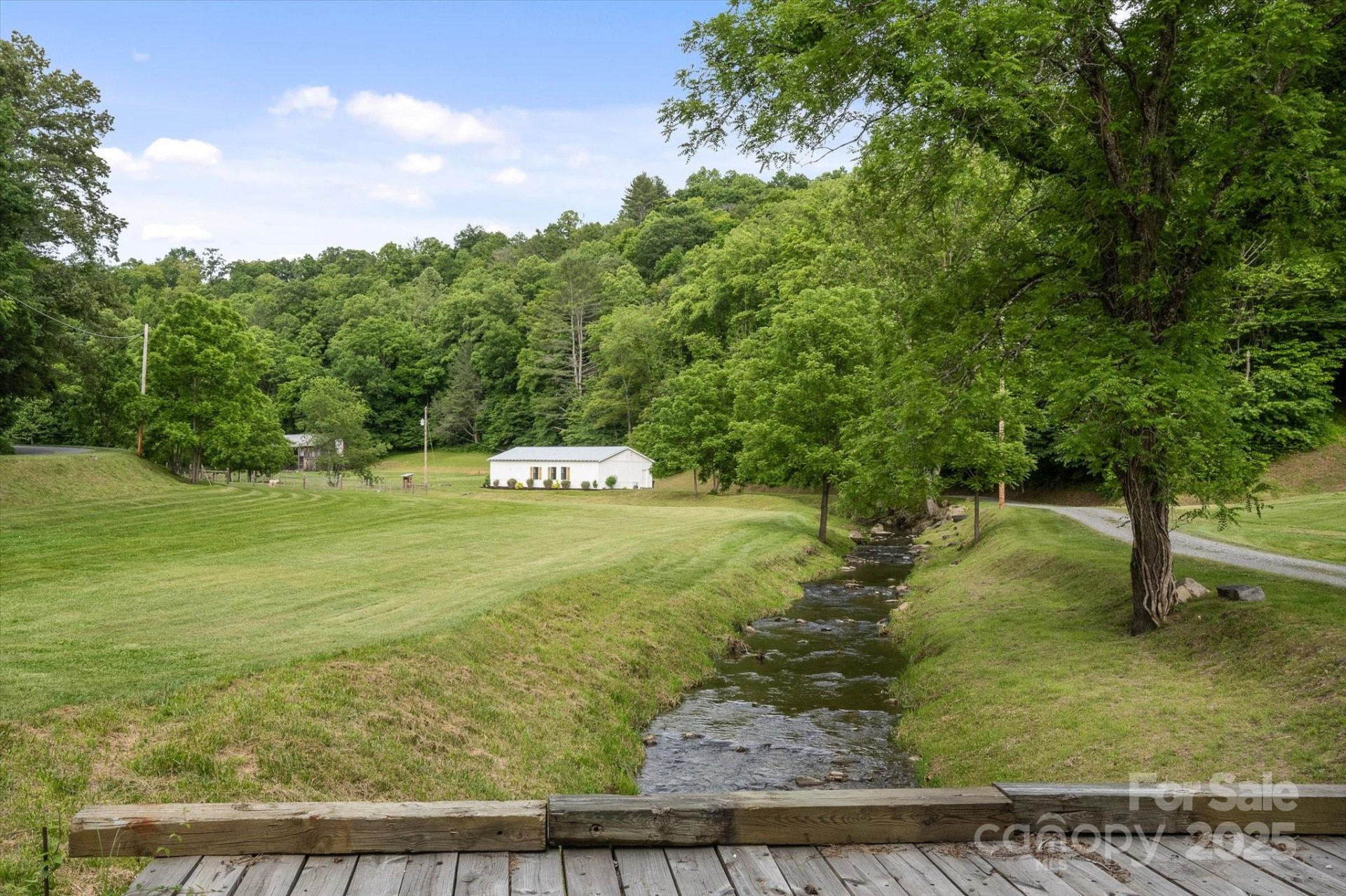 942 Paint Fork Road - Photo 2