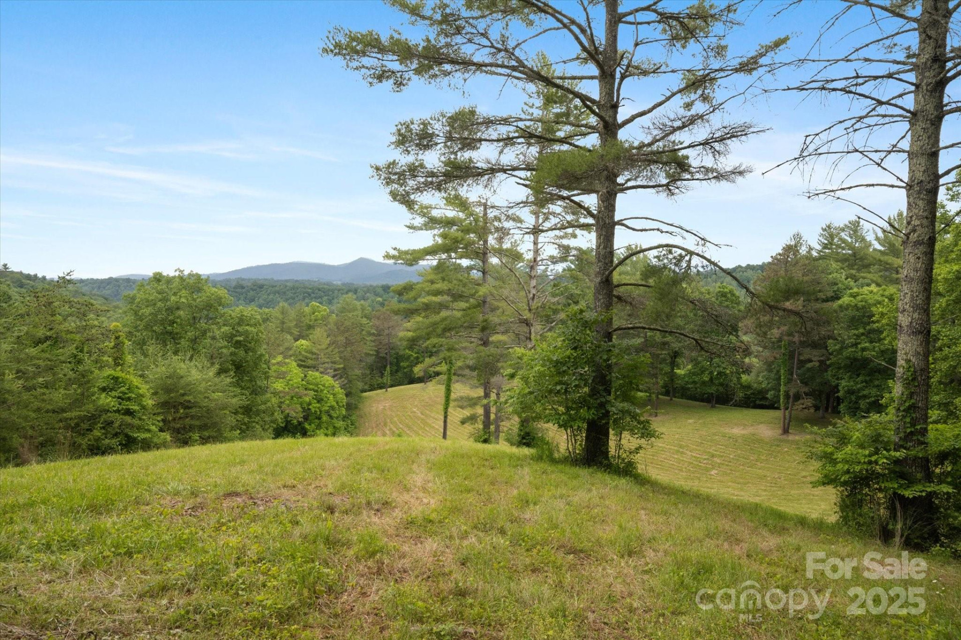 942 Paint Fork Road - Photo 26