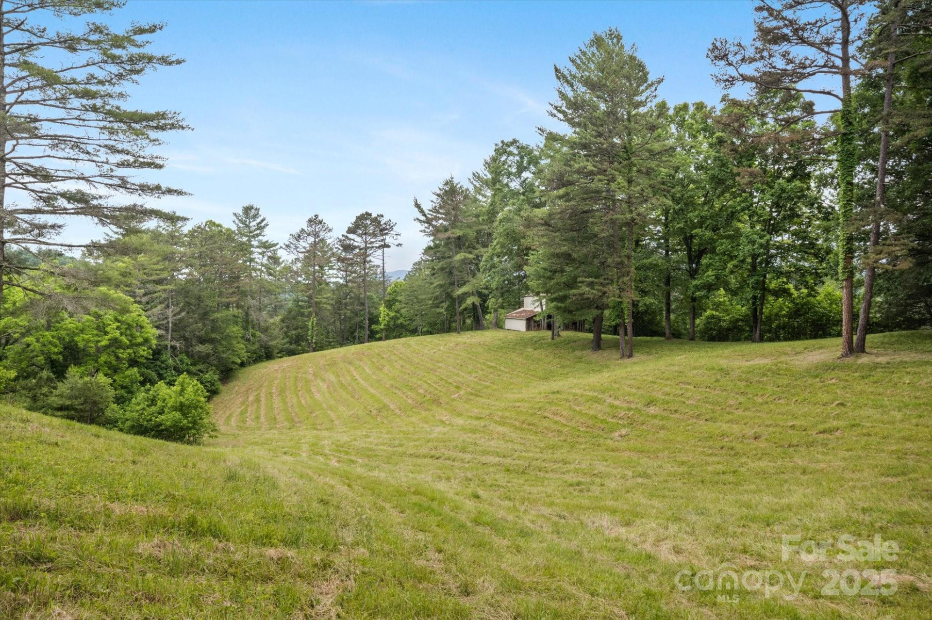 942 Paint Fork Road - Photo 29