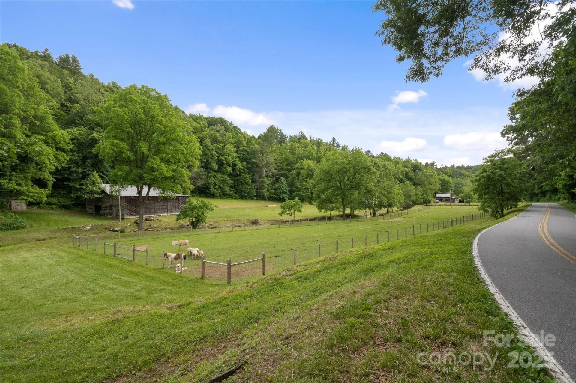 942 Paint Fork Road - Photo 4