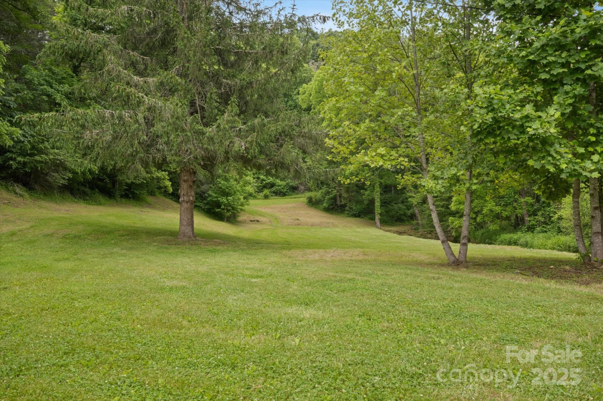 942 Paint Fork Road - Photo 33