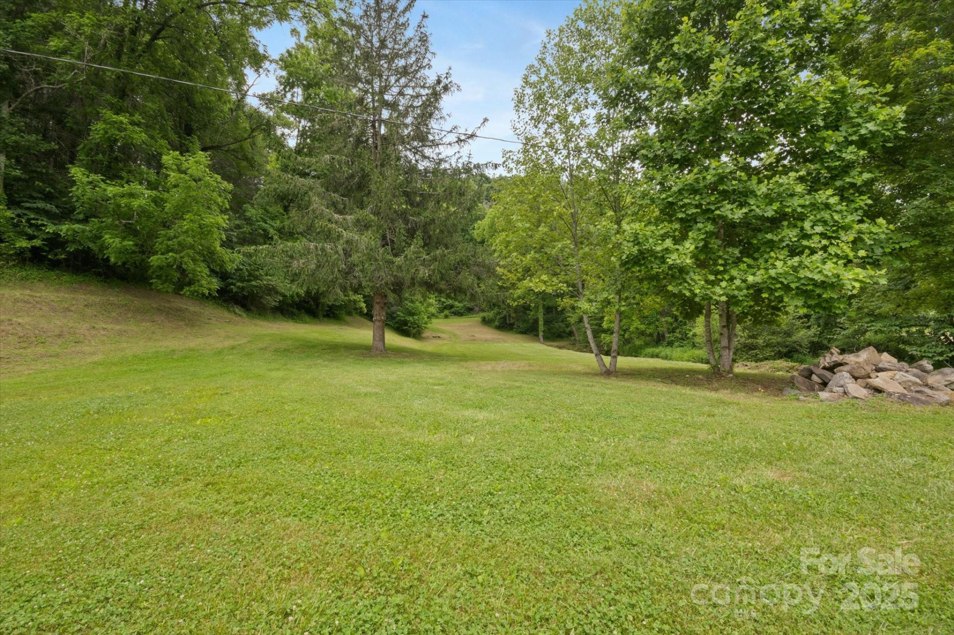 942 Paint Fork Road - Photo 39