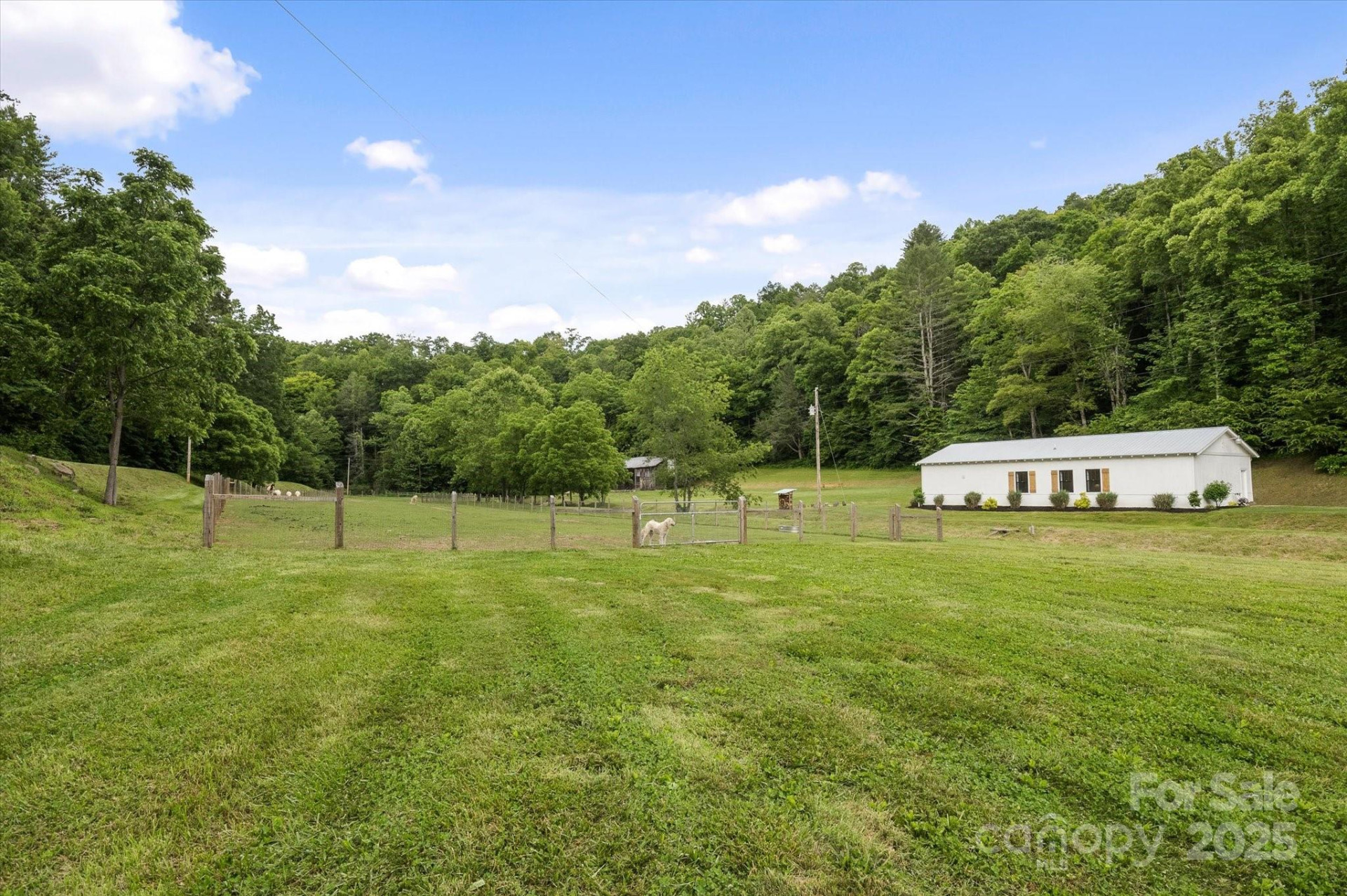 942 Paint Fork Road - Photo 42