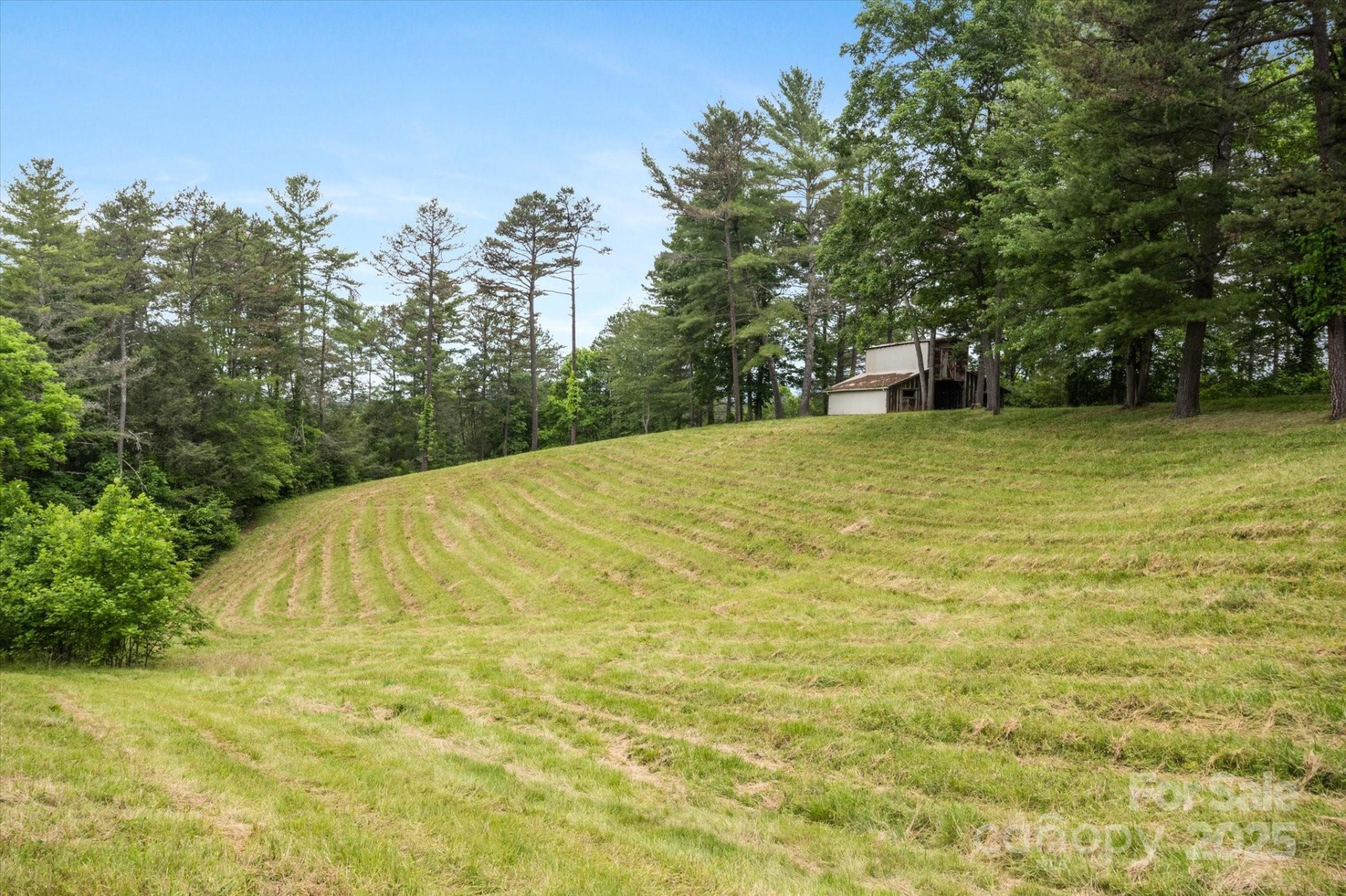 942 Paint Fork Road - Photo 43