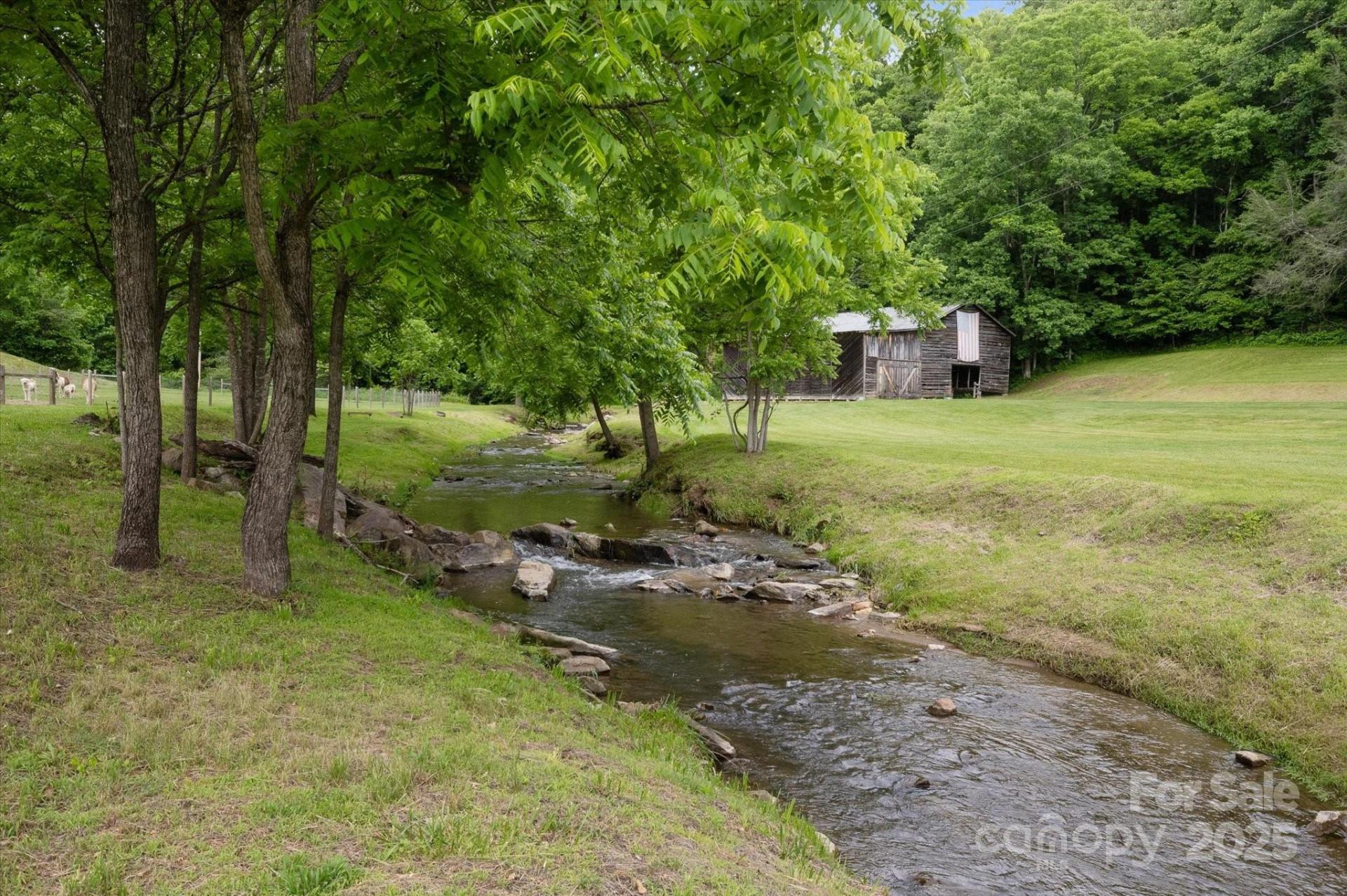 942 Paint Fork Road - Photo 44