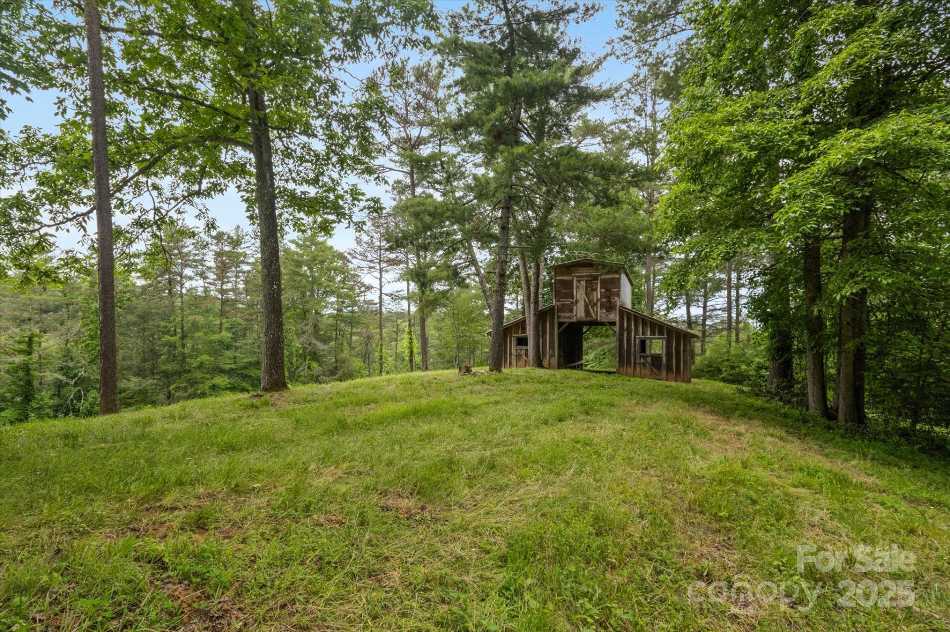 942 Paint Fork Road - Photo 48
